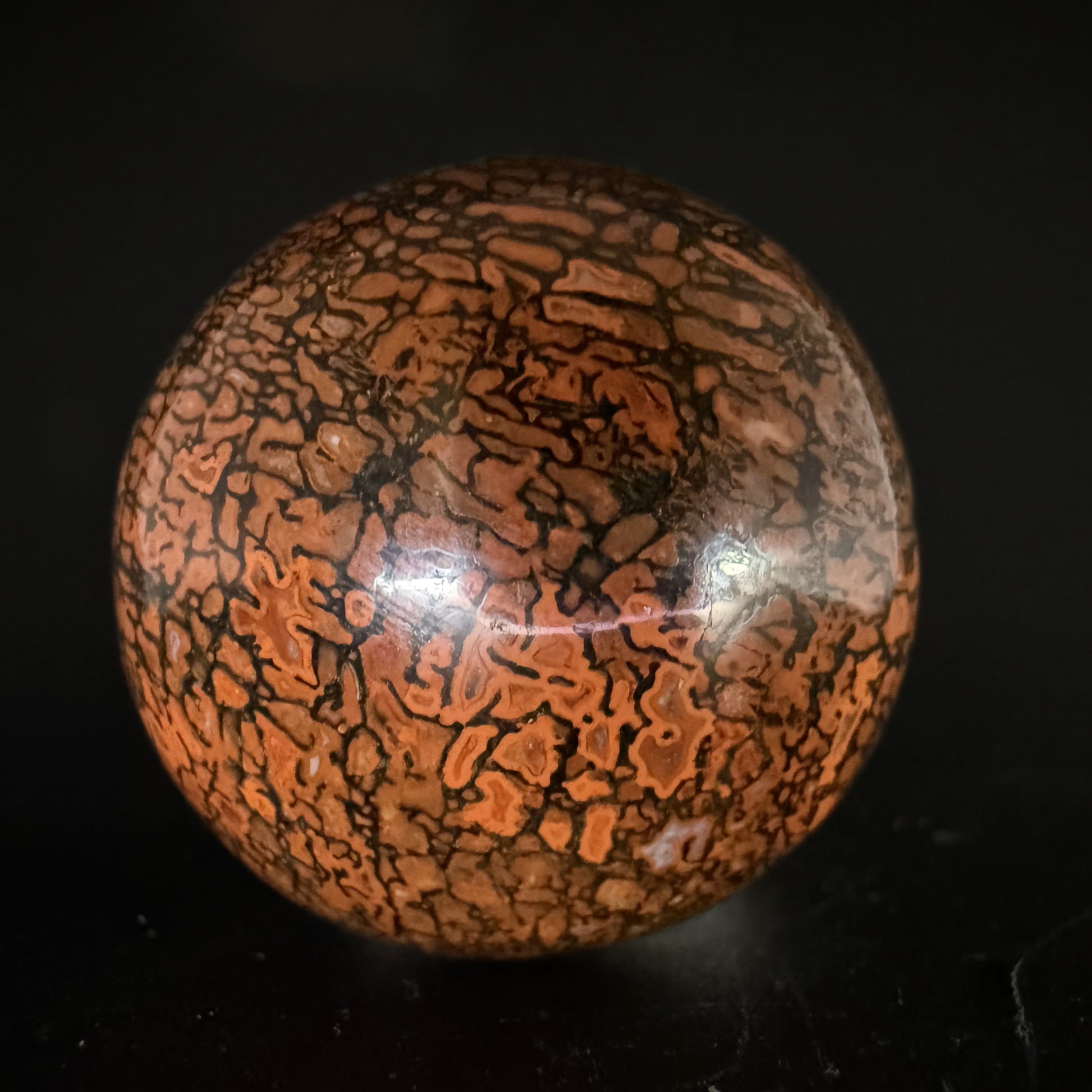 Dinosaur Gem Bone Sphere