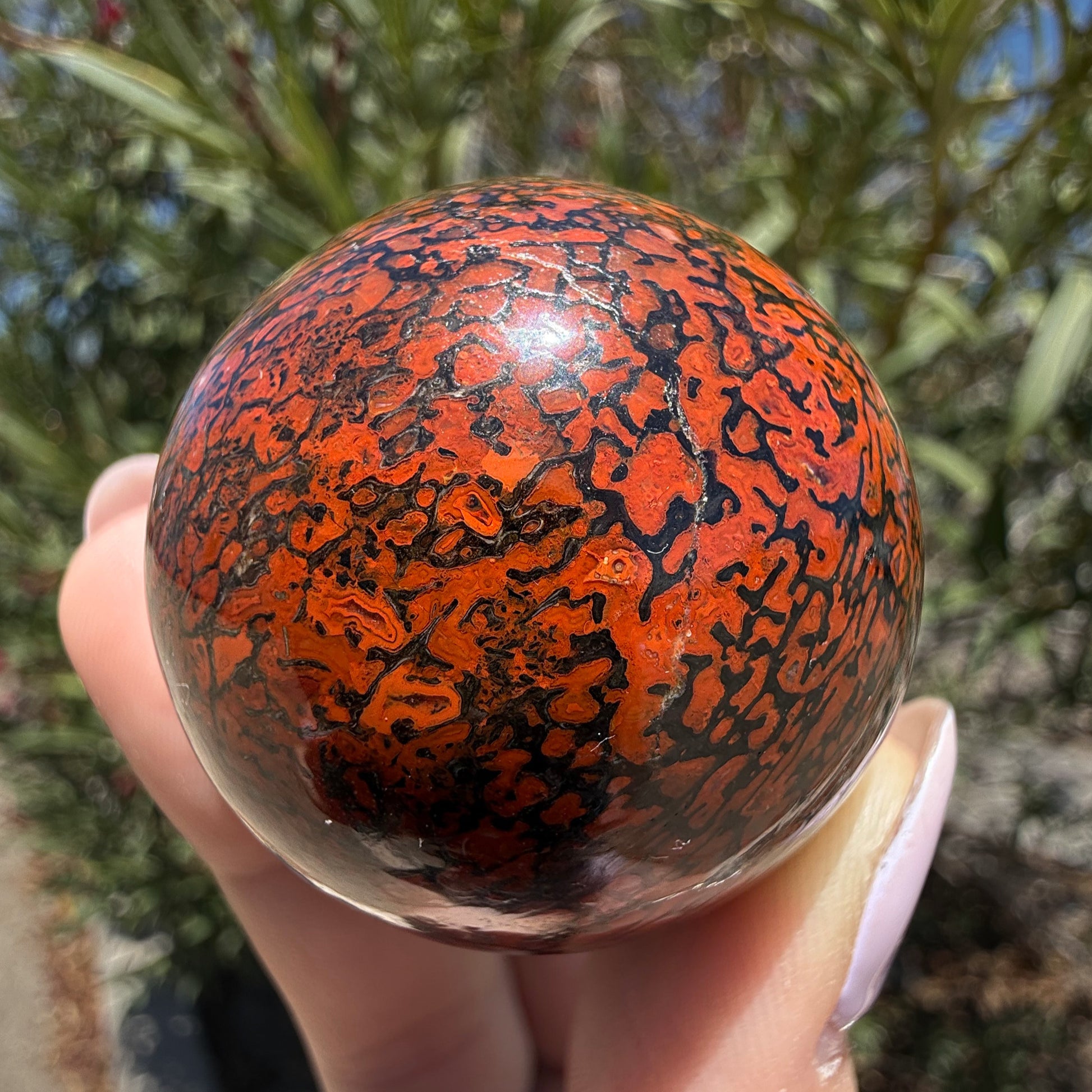 Dinosaur Gem Bone Sphere