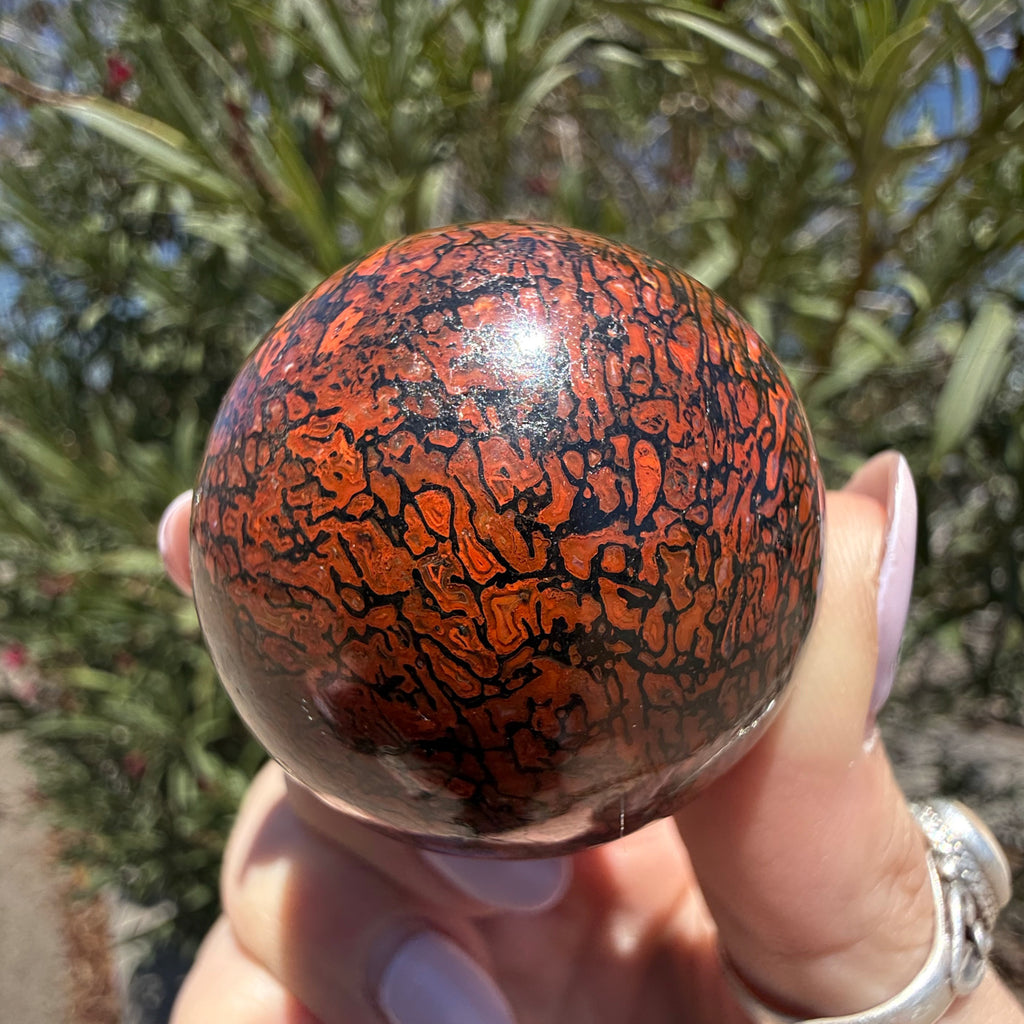 Dinosaur Gem Bone Sphere