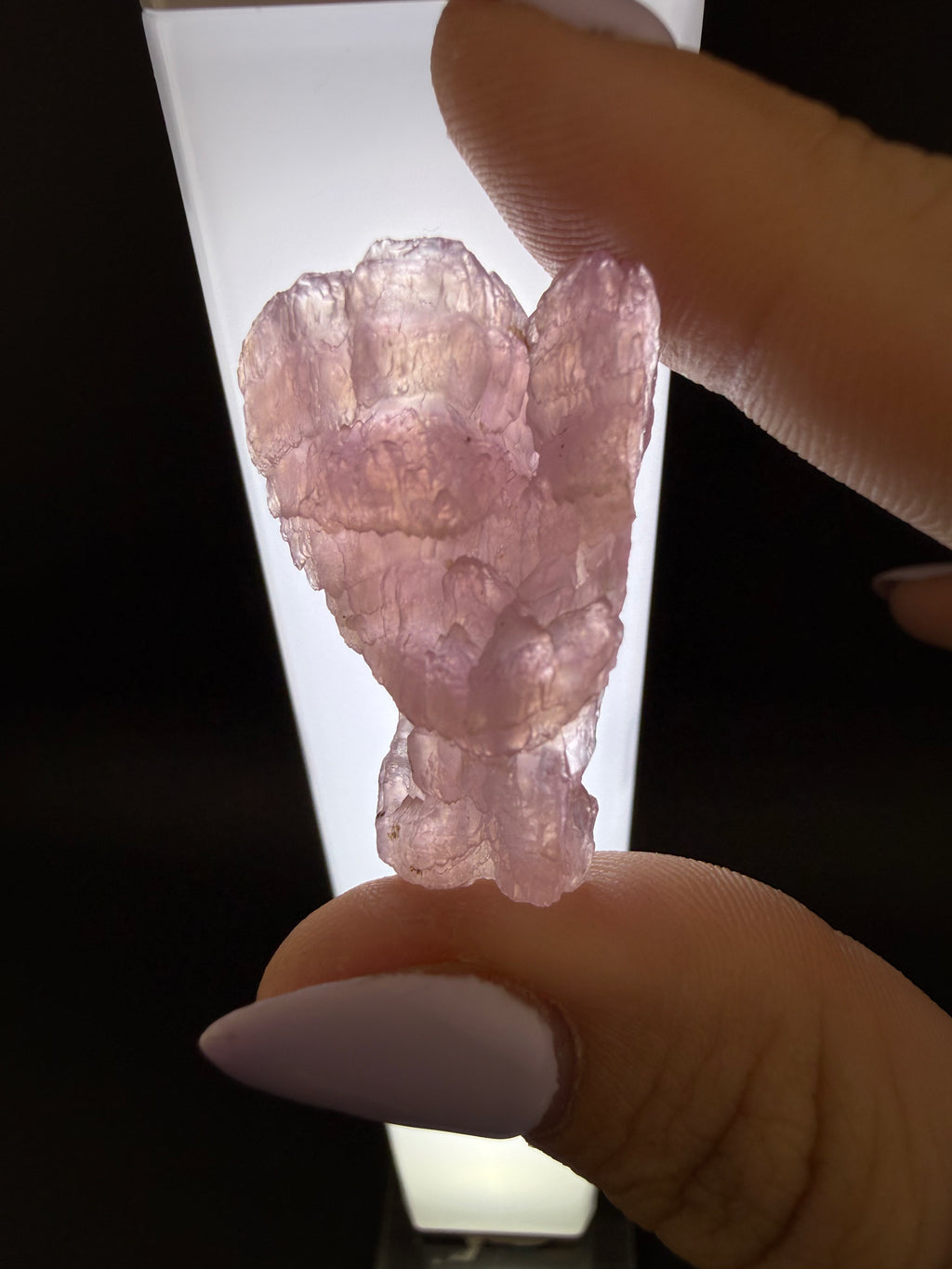 Rose Quartz