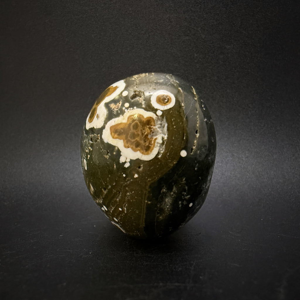 Obicular Jasper (aka "Ocean Jasper")