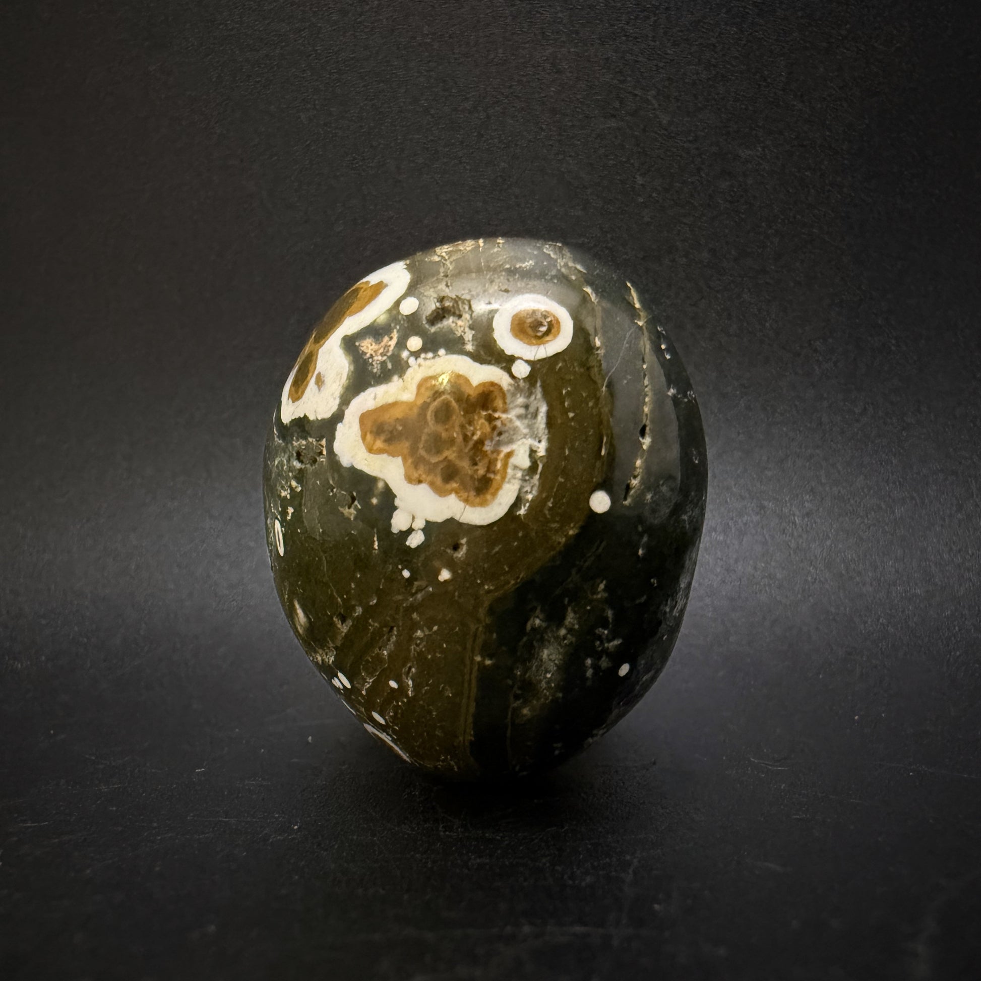 Obicular Jasper (aka "Ocean Jasper")