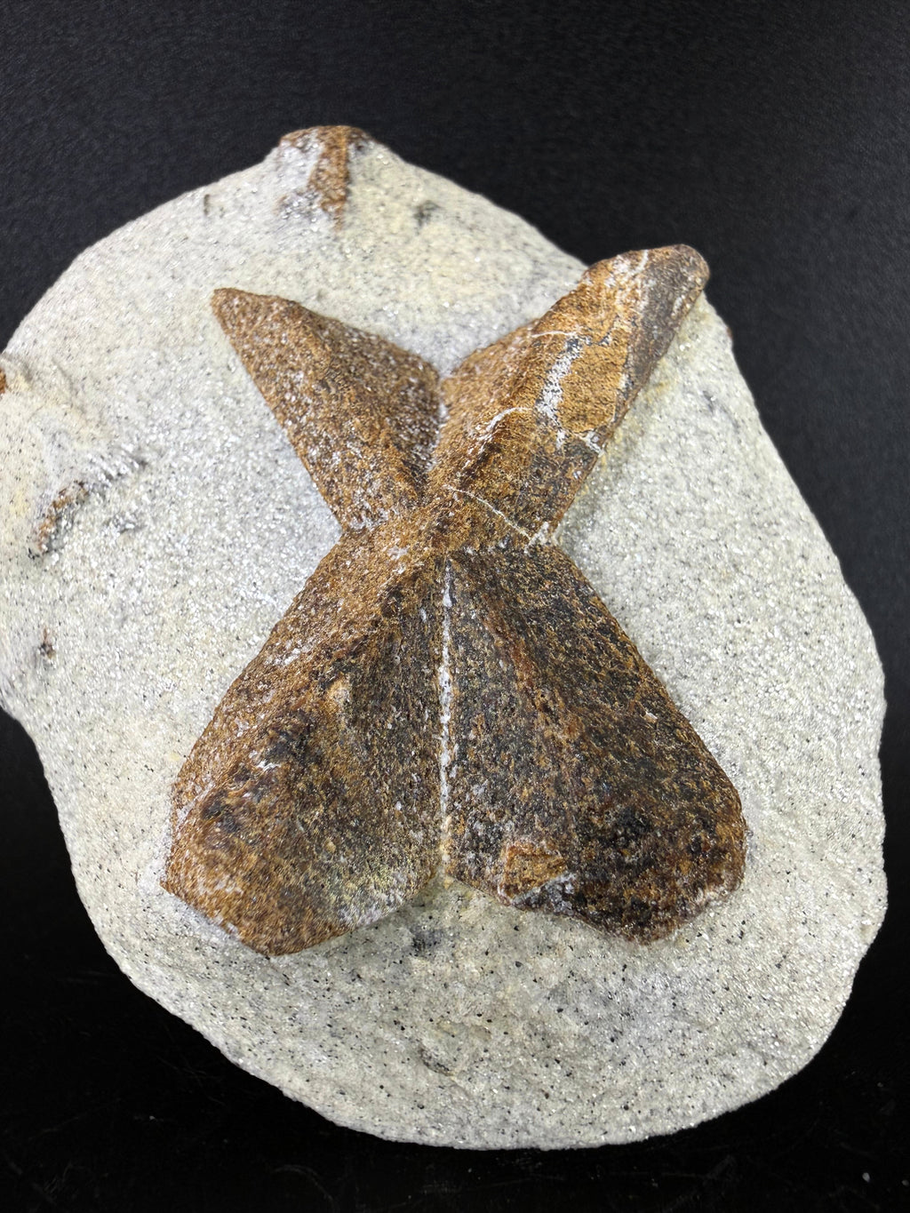Staurolite "Fairy Cross"