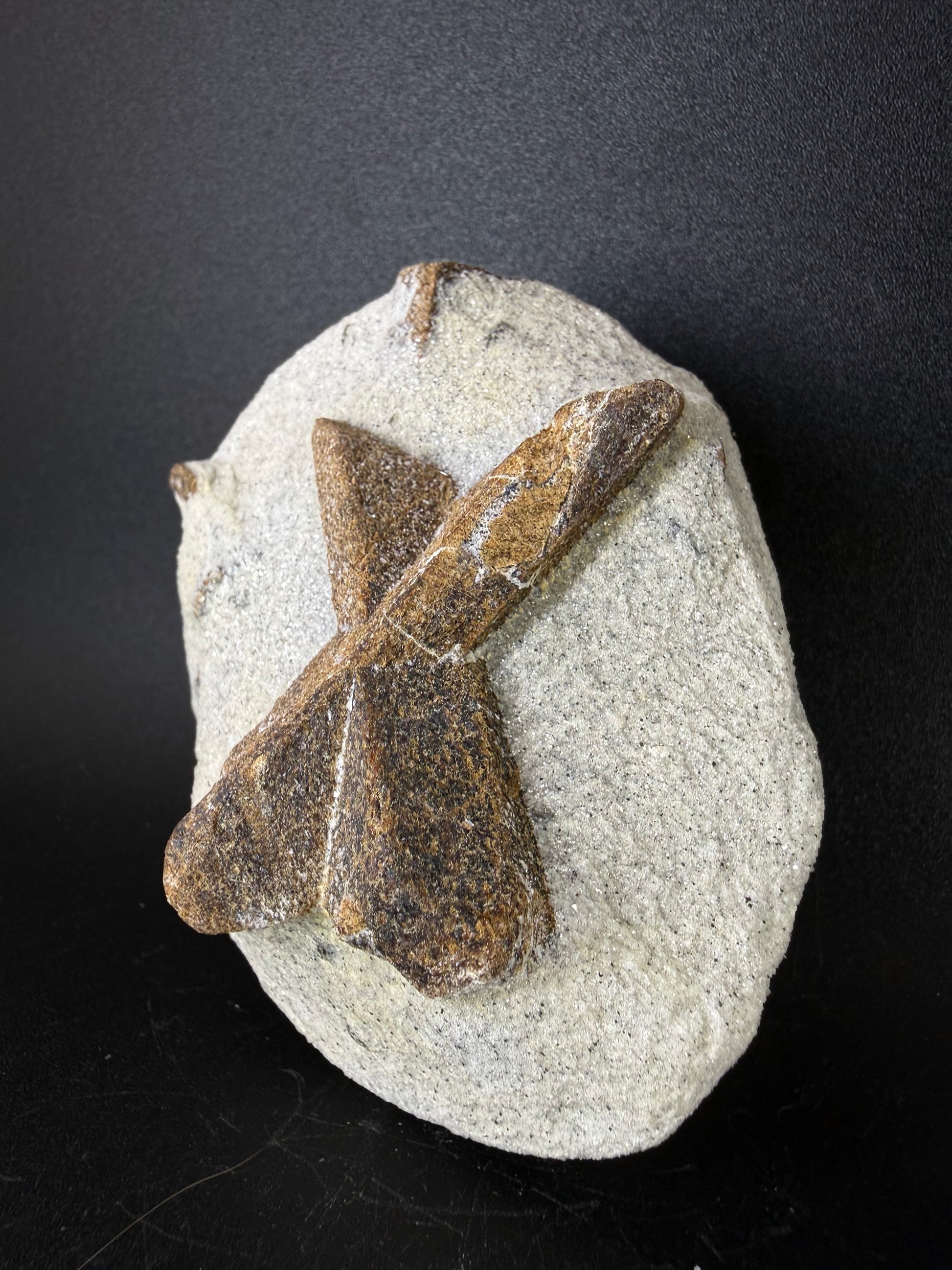 Staurolite "Fairy Cross"
