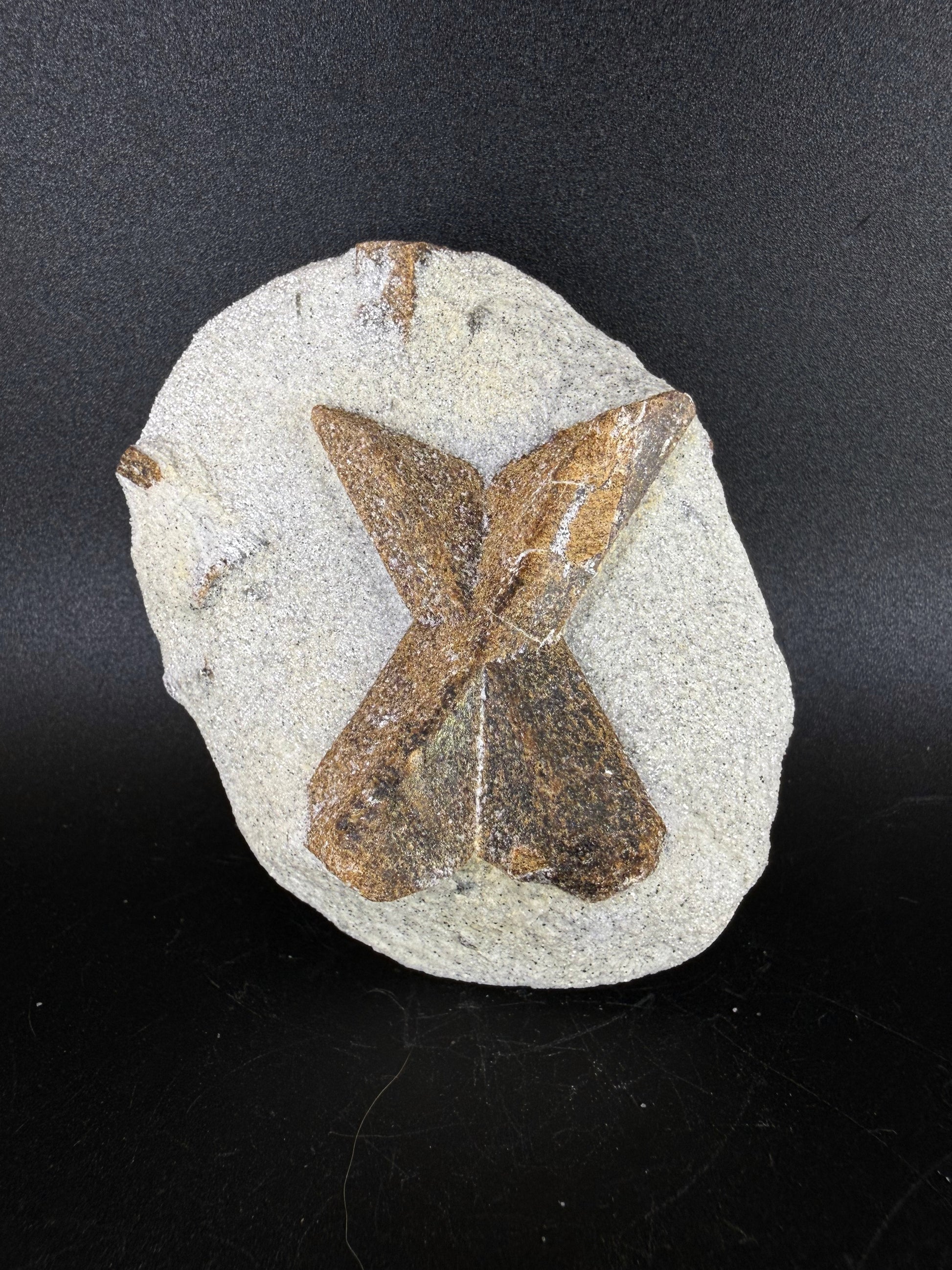 Staurolite "Fairy Cross"