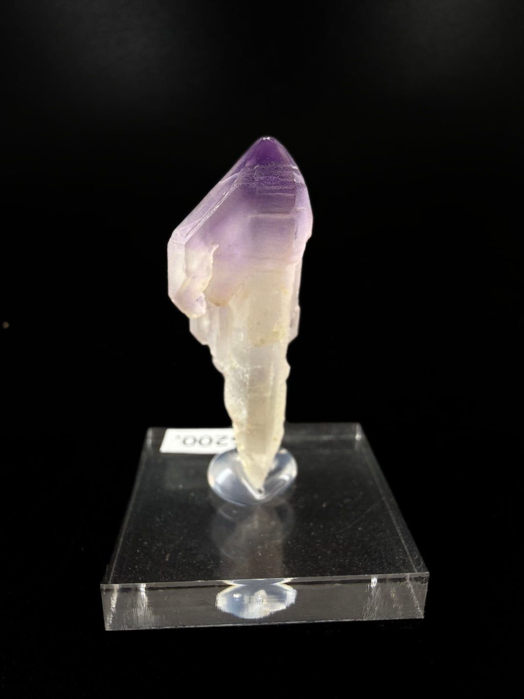 Amethyst Scepters