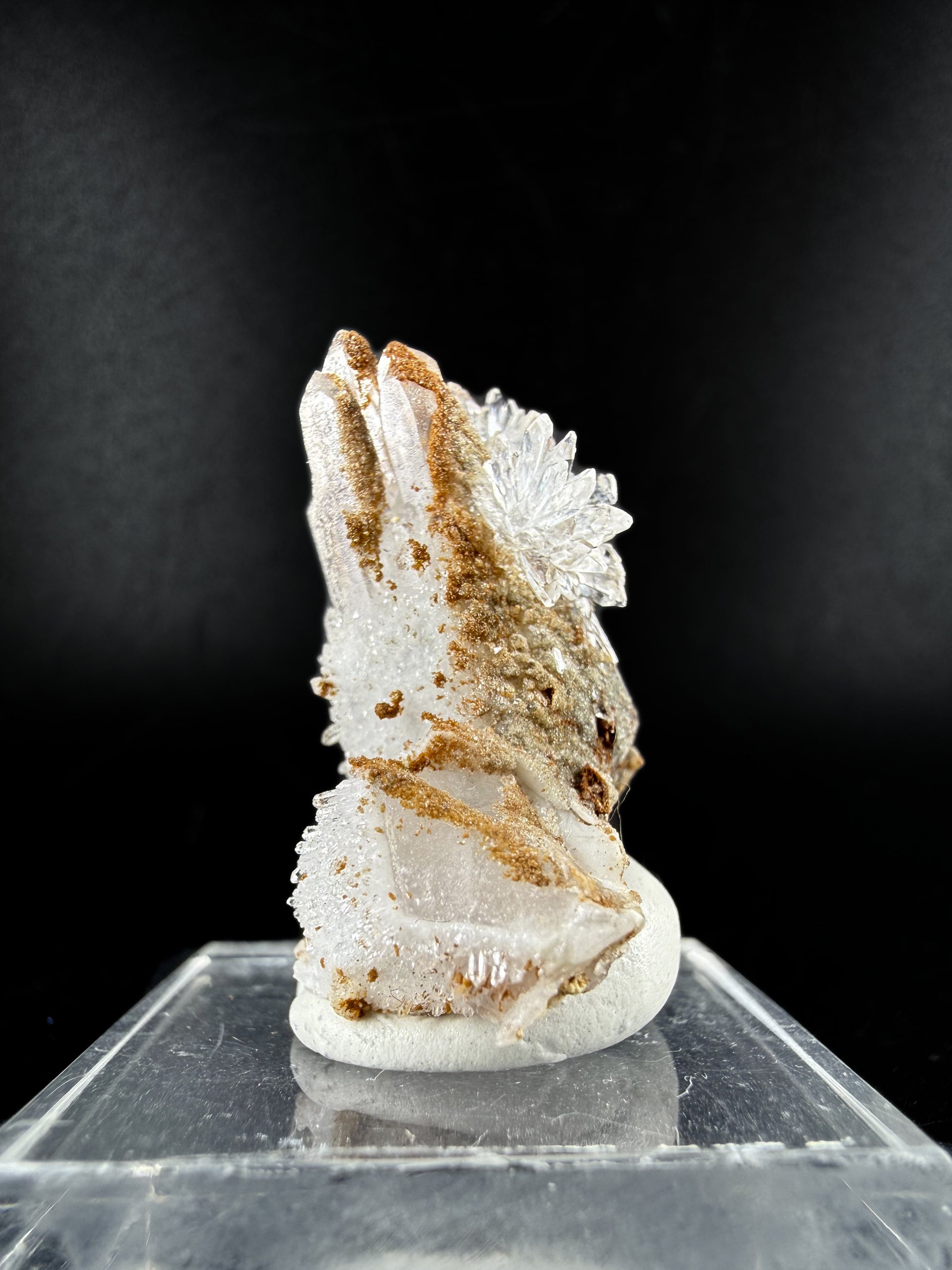 Creedite