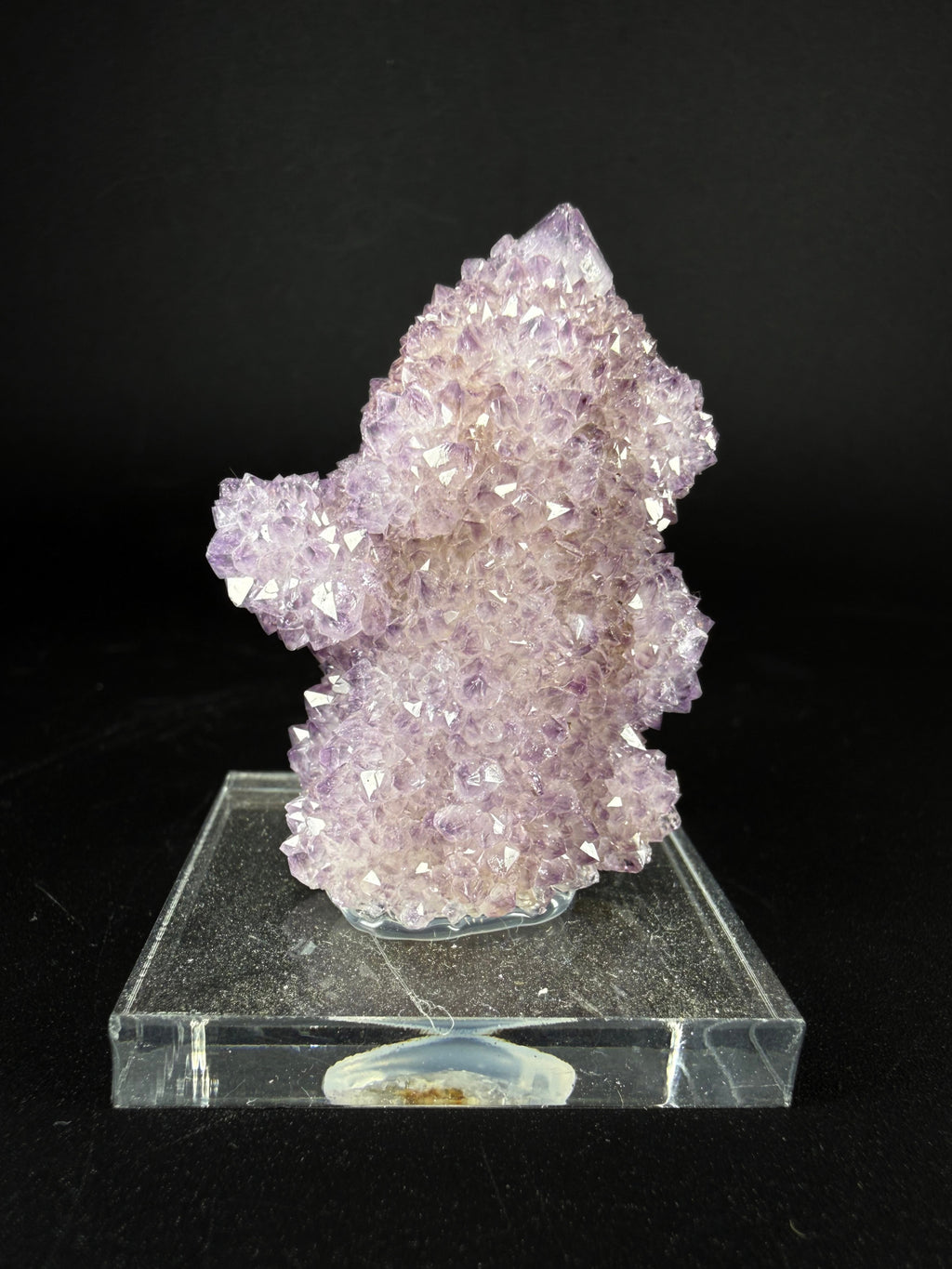 Amethyst "Cactus Quartz"