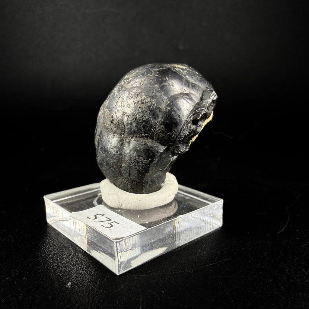 Cassiterite