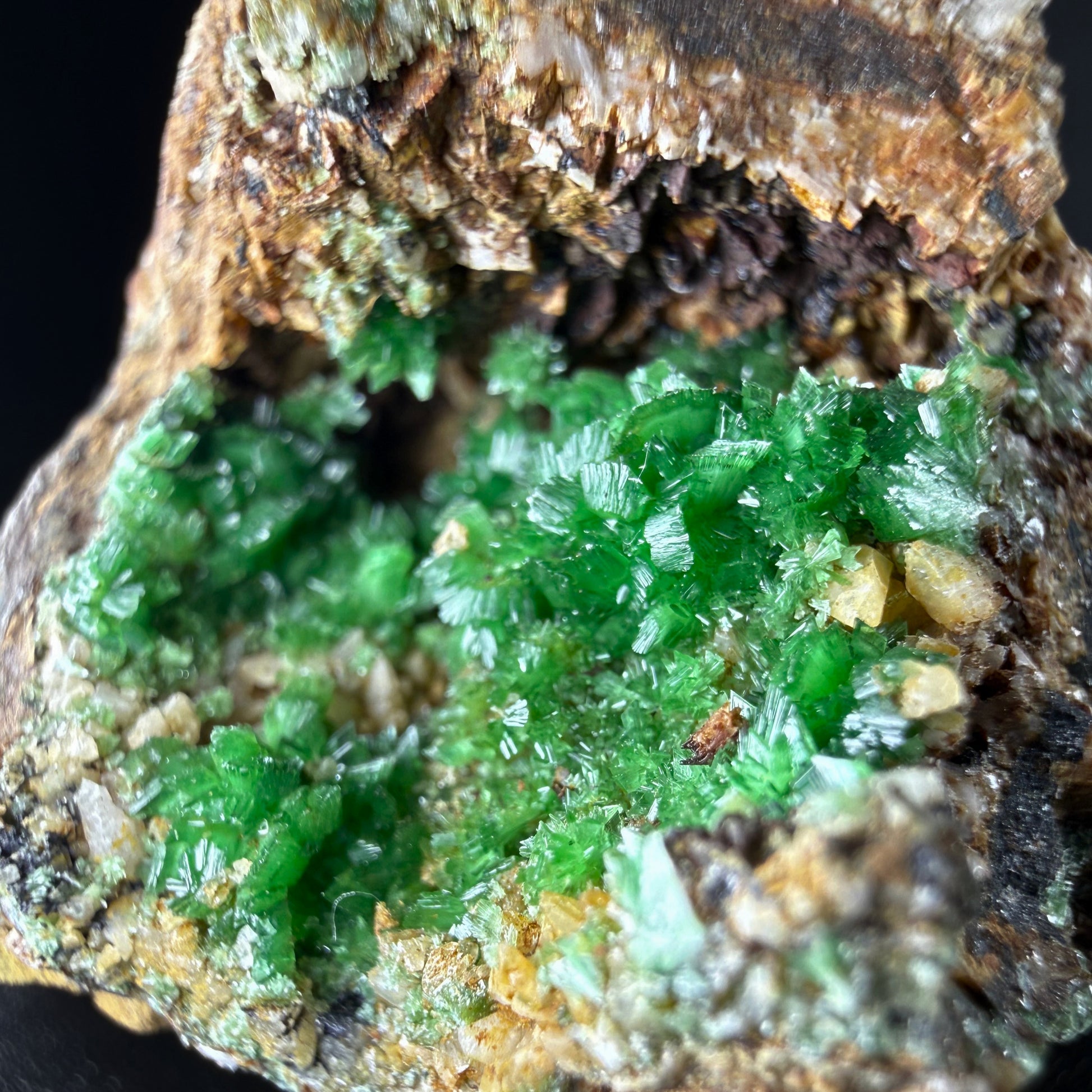 Annabergite
