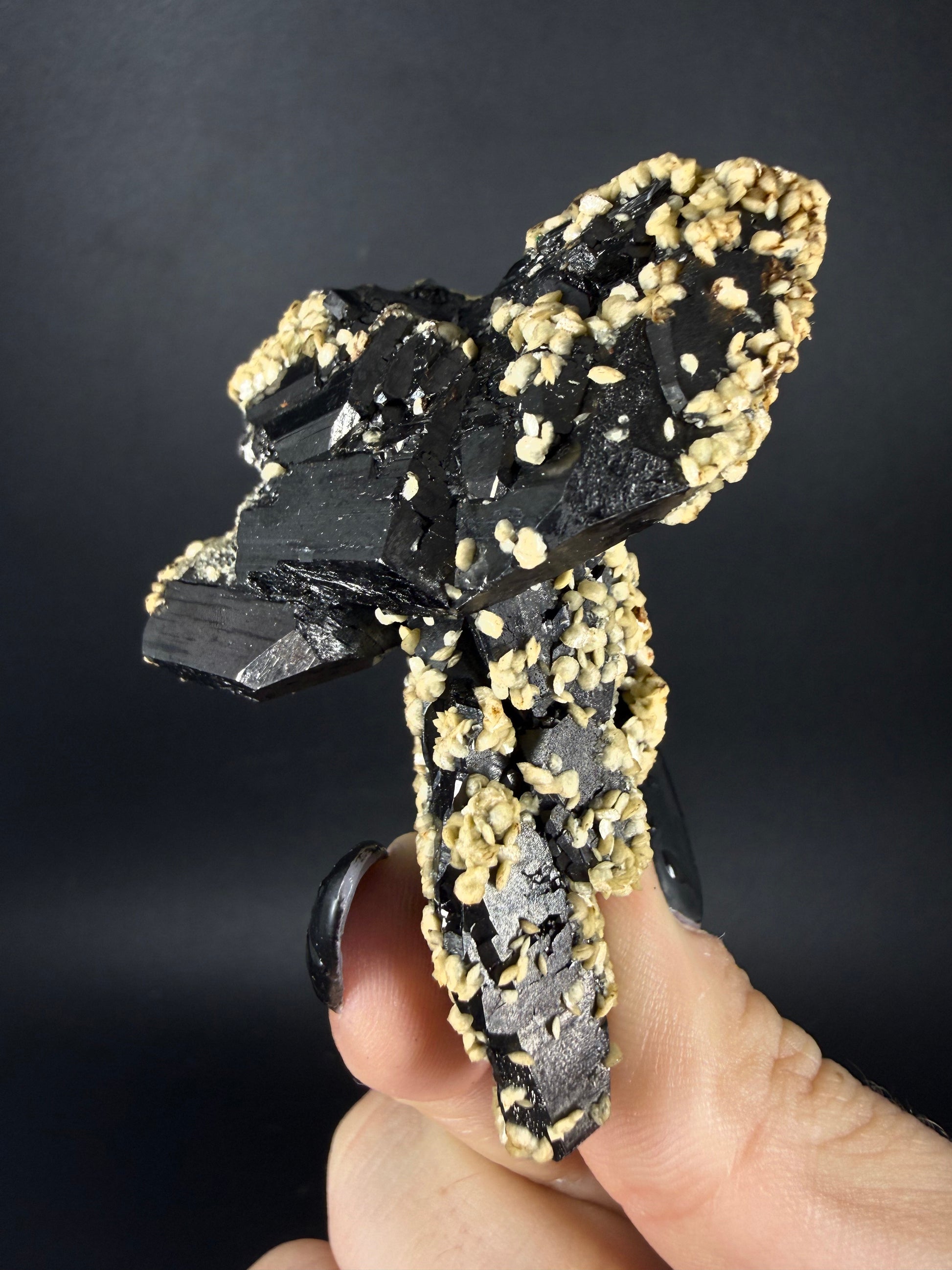 Siderite on Ferberite