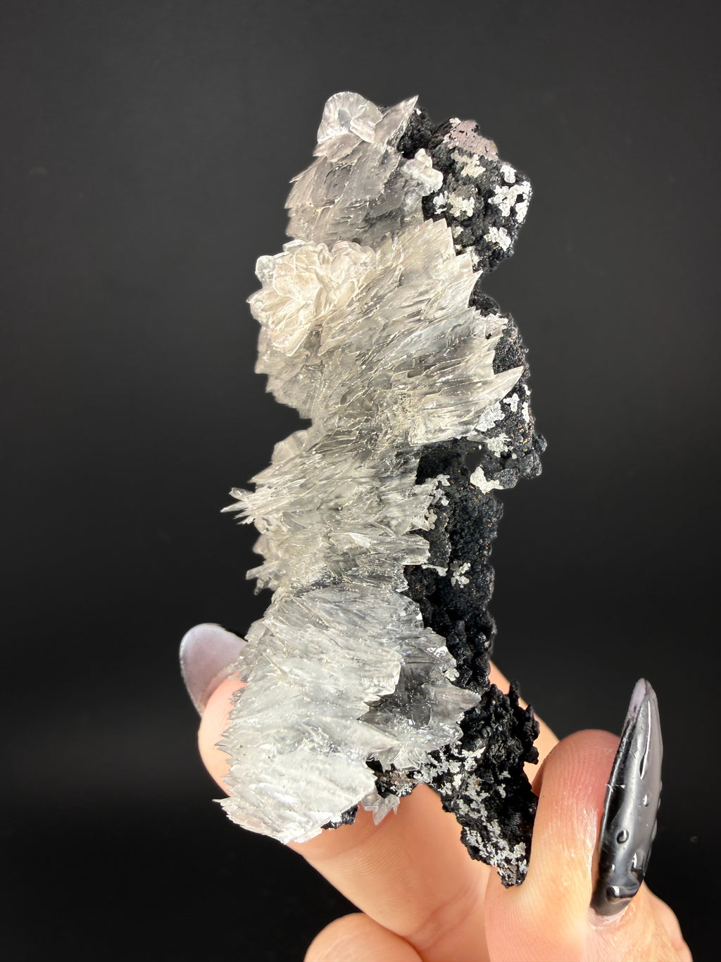 Selenite on Pyrolusite