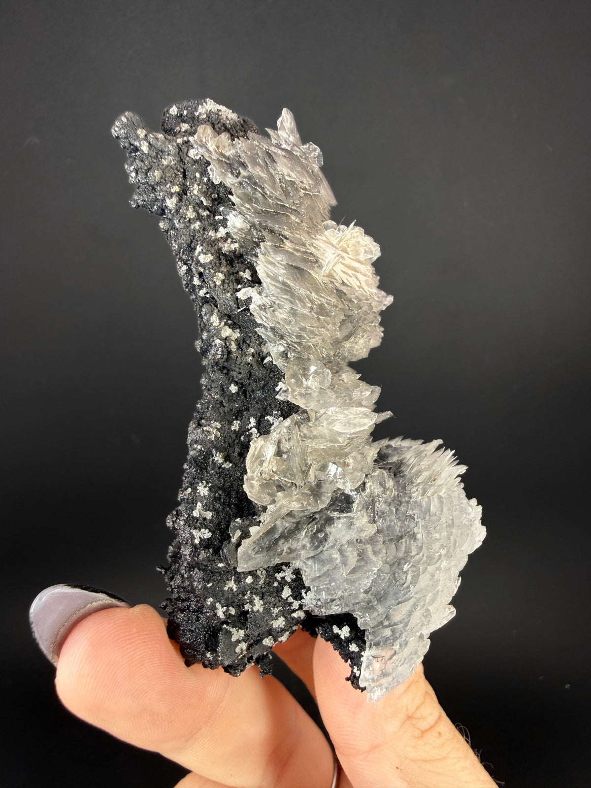 Selenite on Pyrolusite