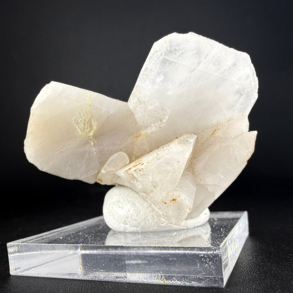 Quartz Japan Law Twin