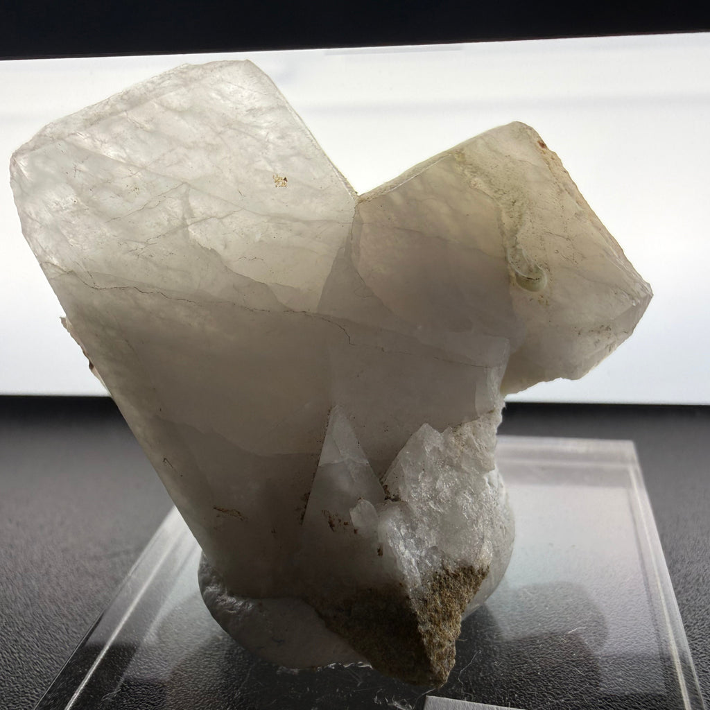 Quartz Japan Law Twin