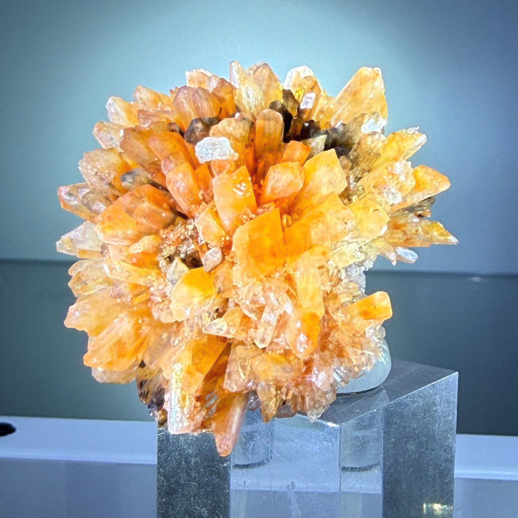 Creedite