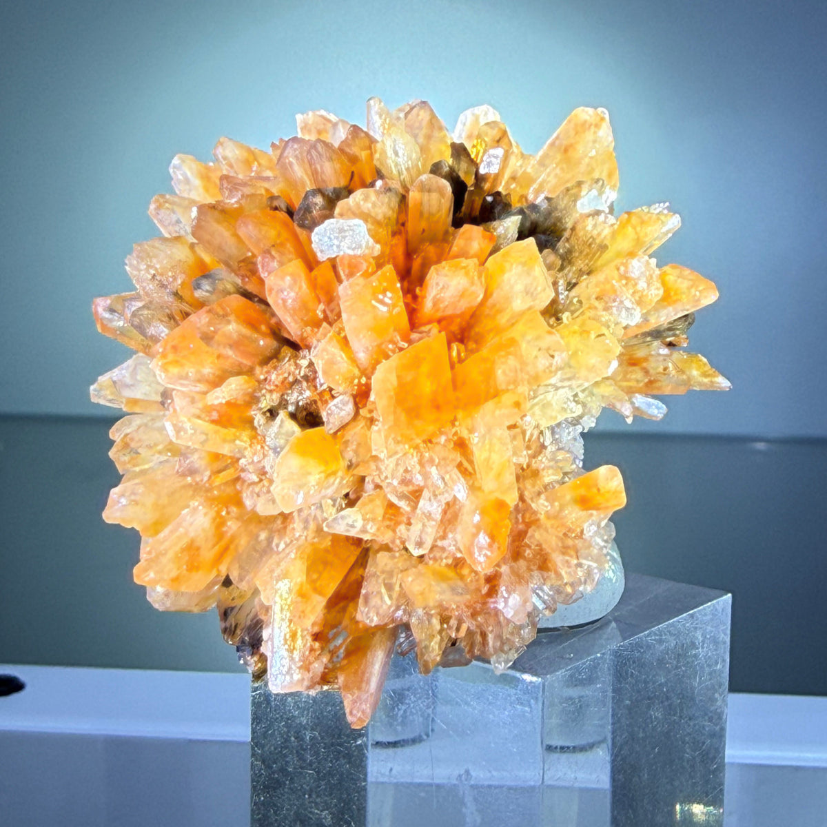 Creedite