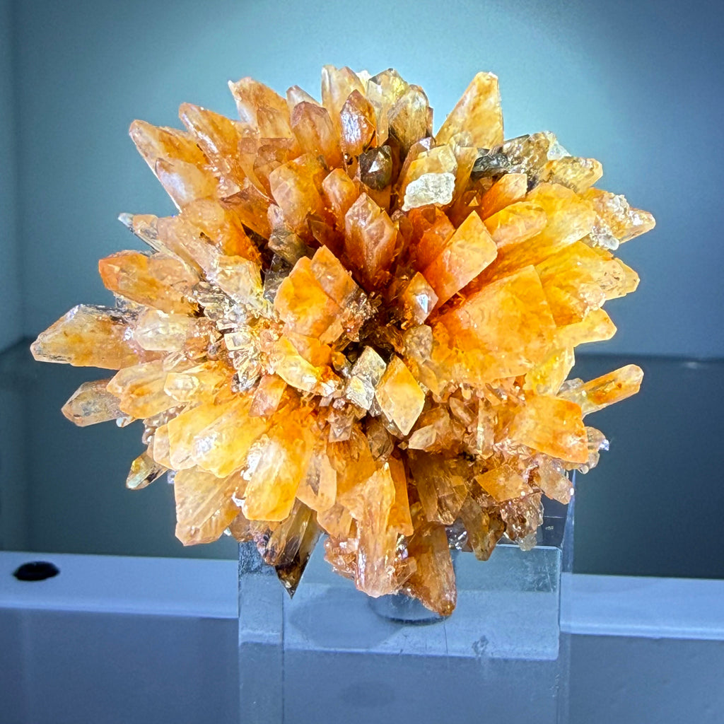 Creedite