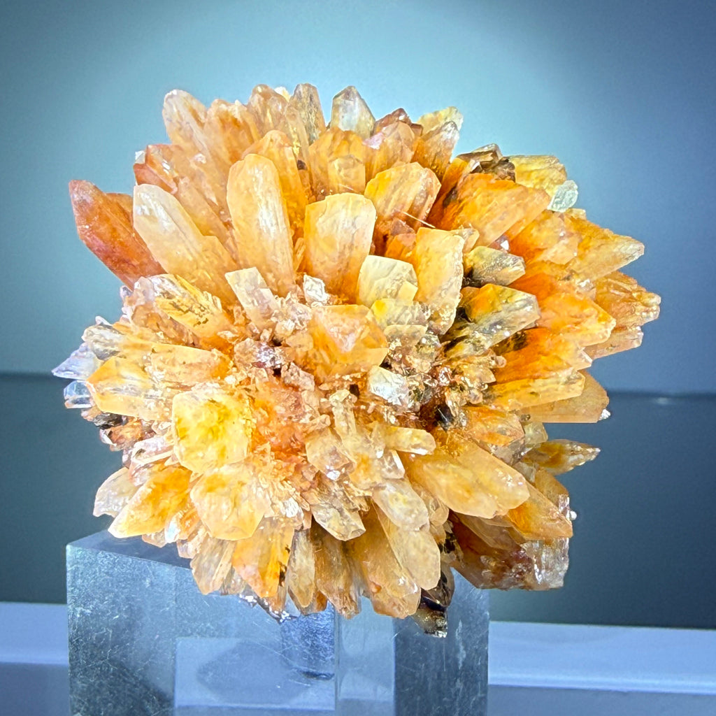 Creedite