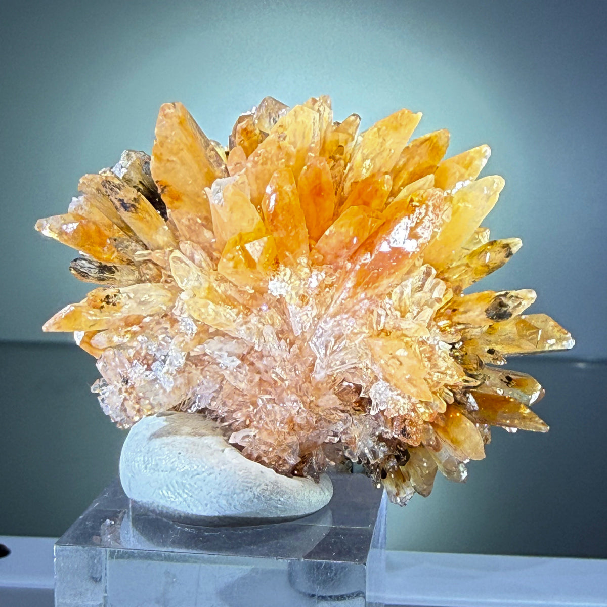 Creedite