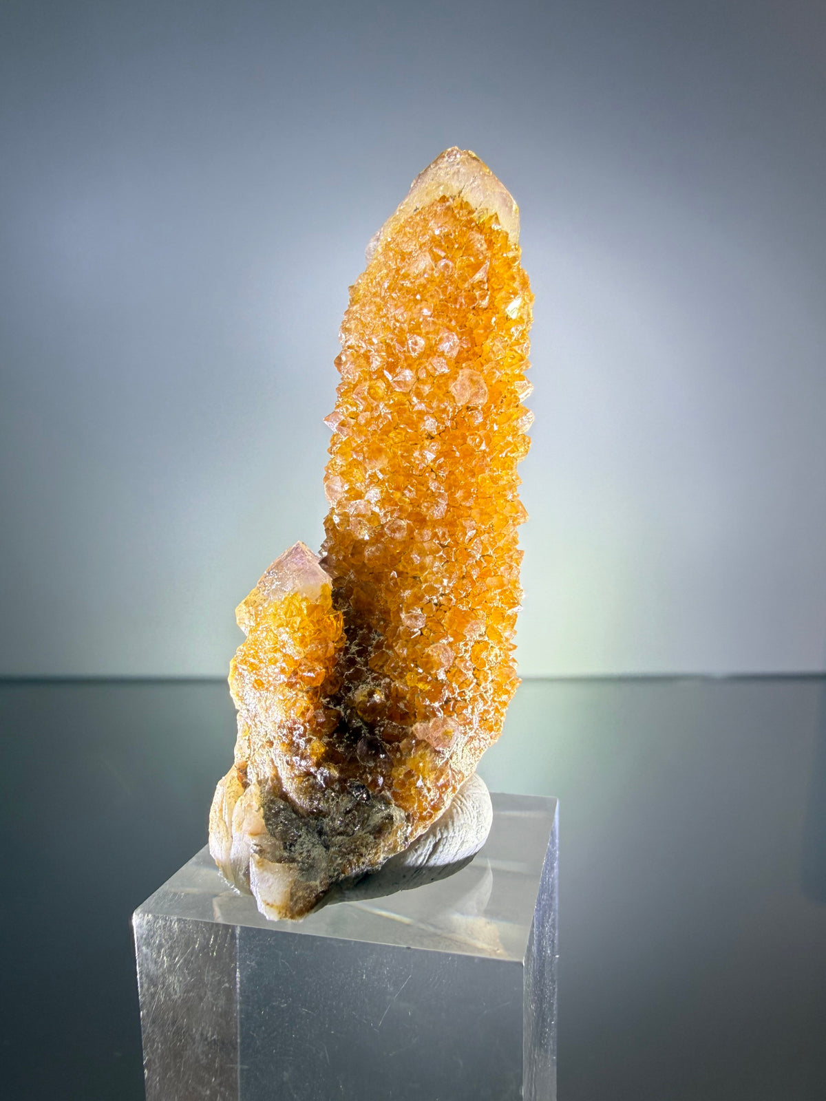 Citrine "Cactus Quartz"