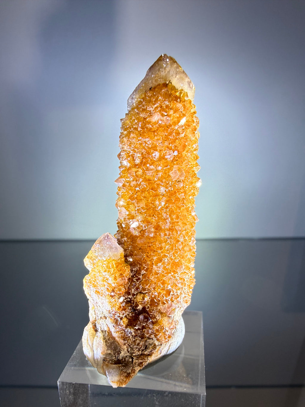 Citrine "Cactus Quartz"