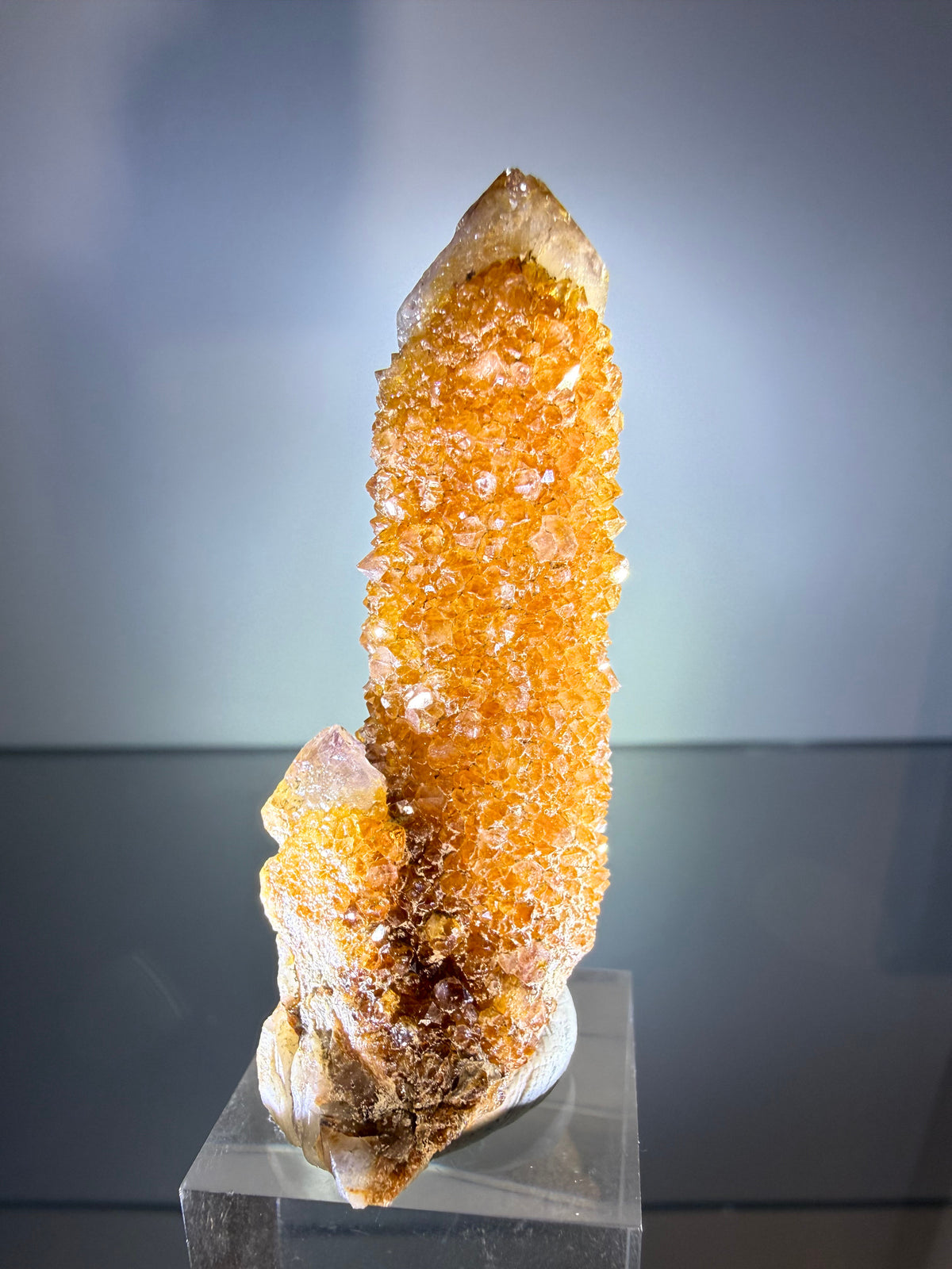 Citrine "Cactus Quartz"