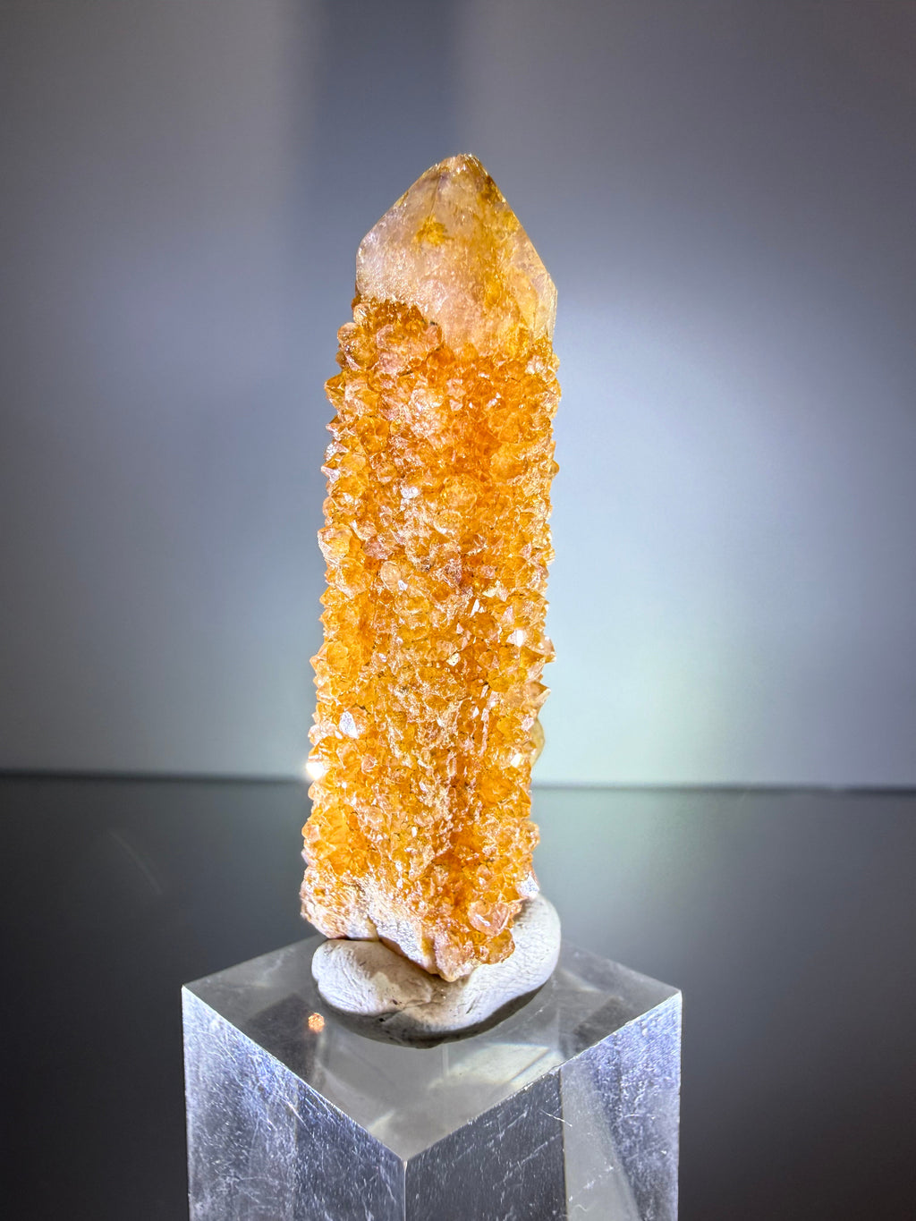 Citrine "Cactus Quartz"