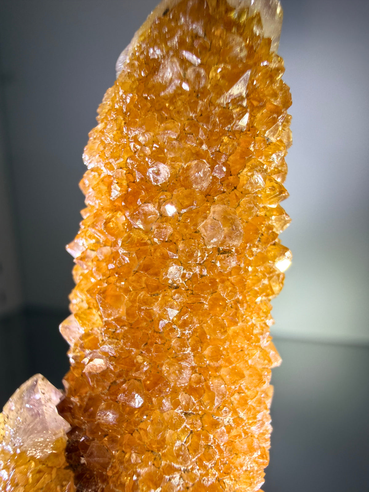 Citrine "Cactus Quartz"