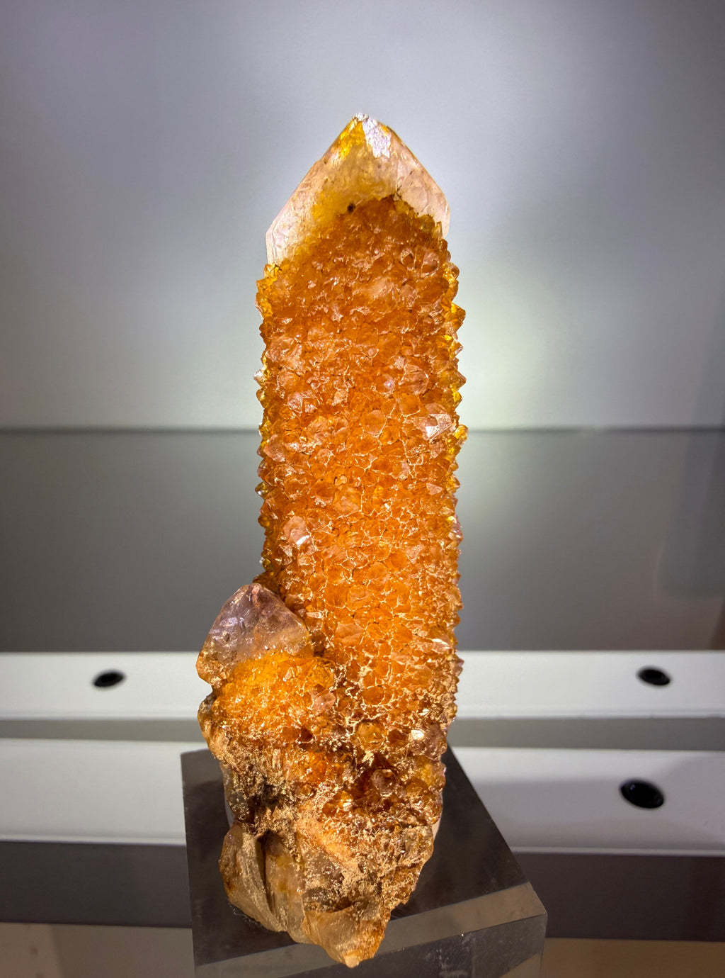 Citrine "Cactus Quartz"