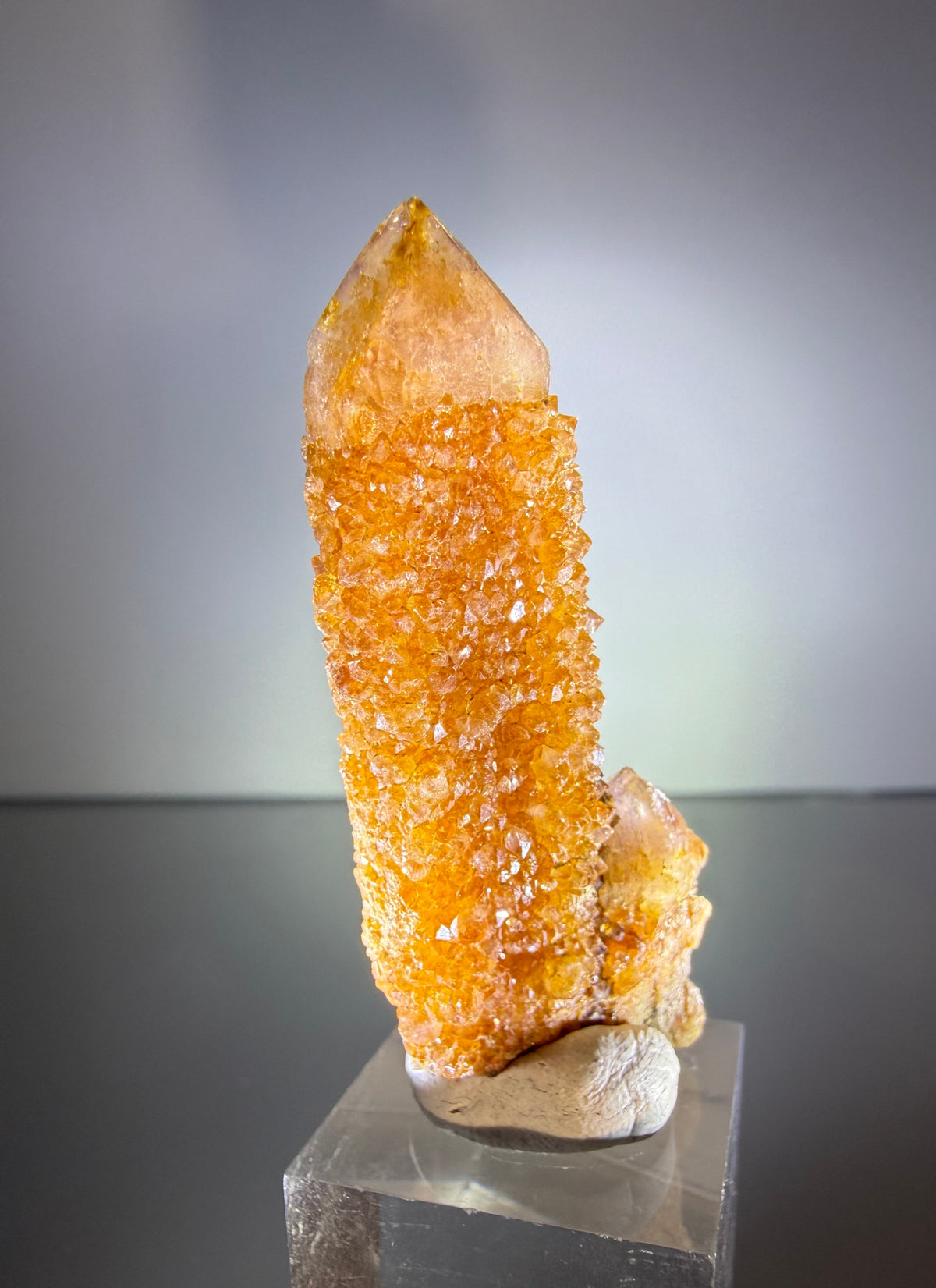 Citrine "Cactus Quartz"