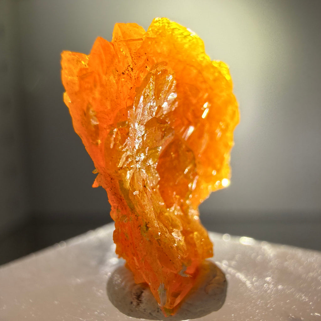 Wulfenite