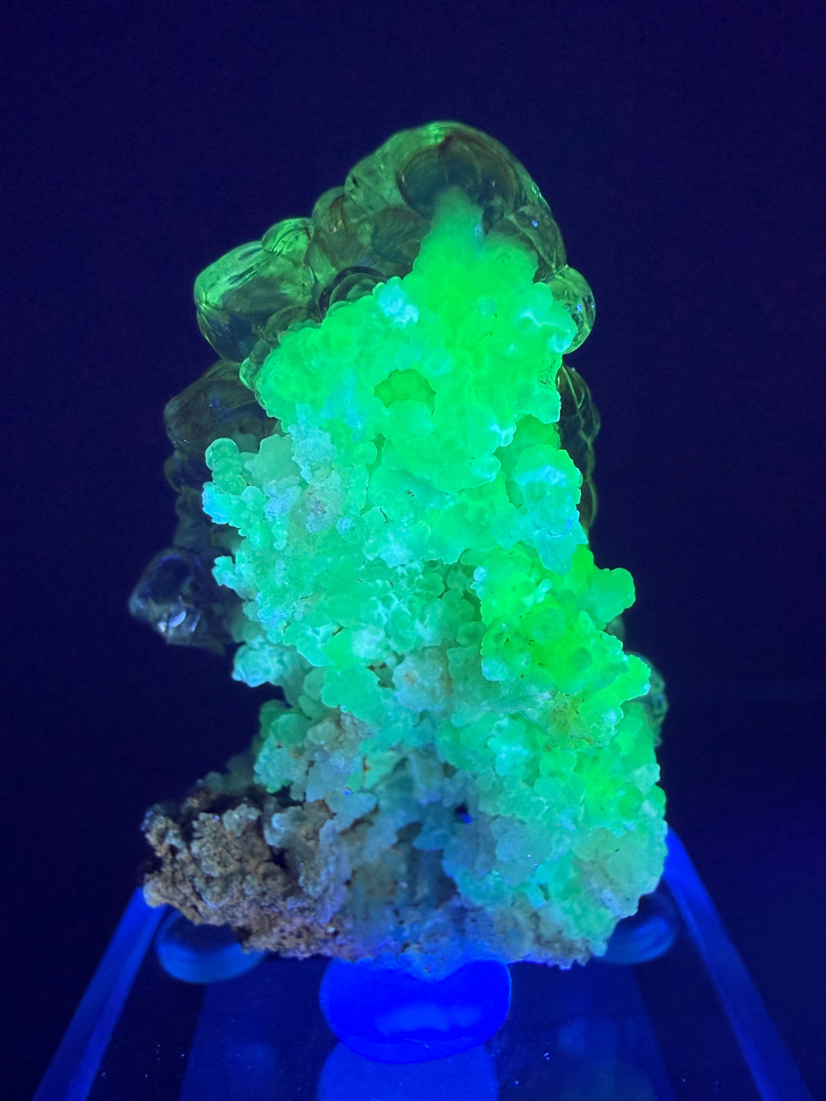 Opal var. Hyalite with Chalcedony