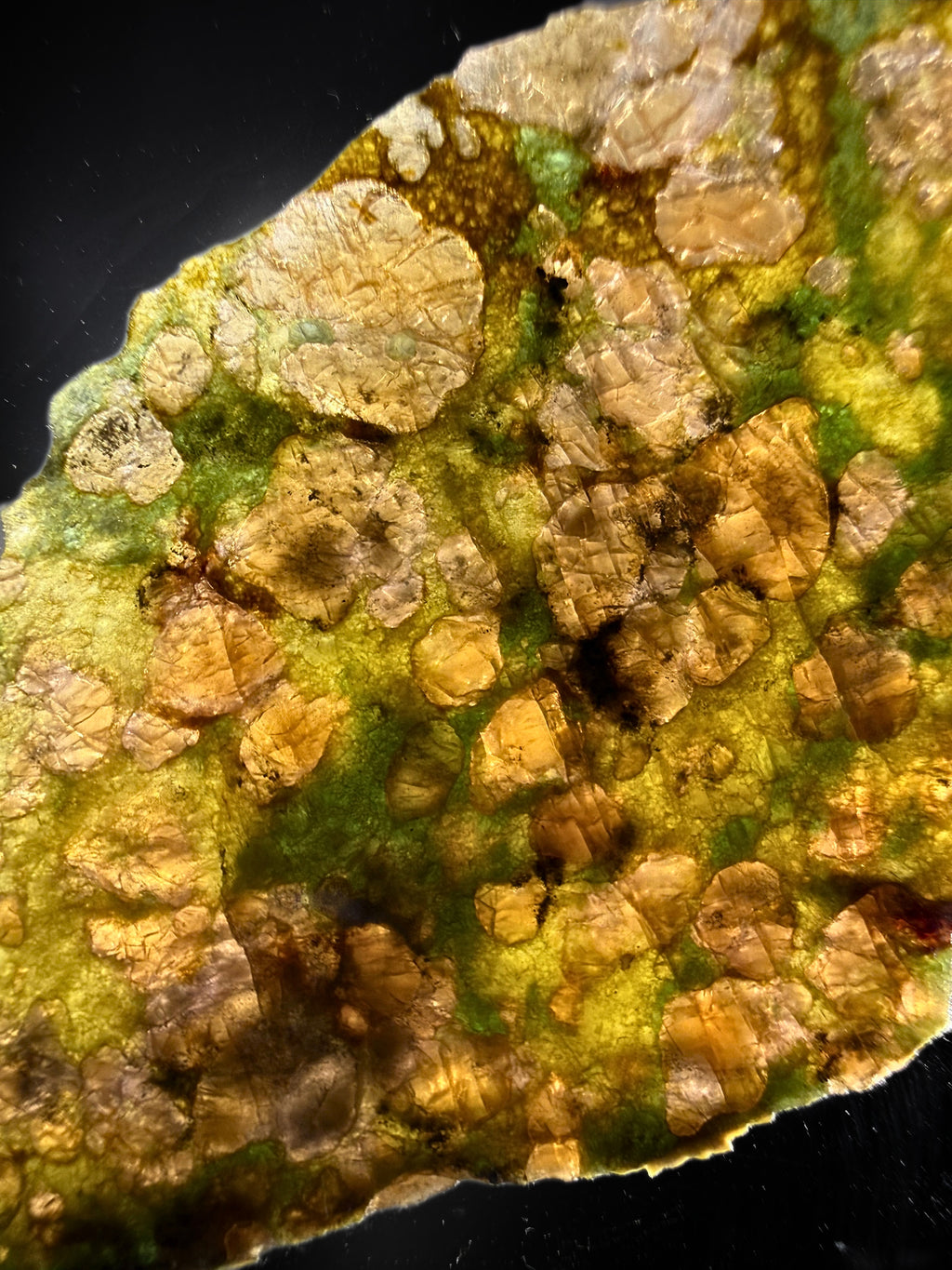 Pyrope, Chrome Diopside and Enstatite