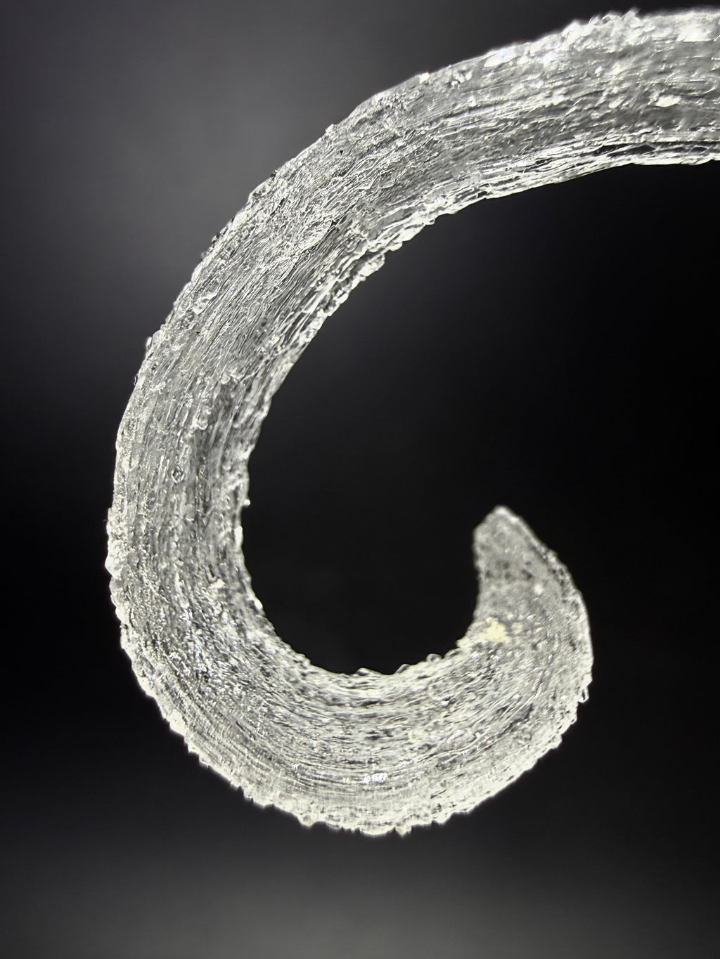 Gypsum Var. Selenite (Rams Horn)