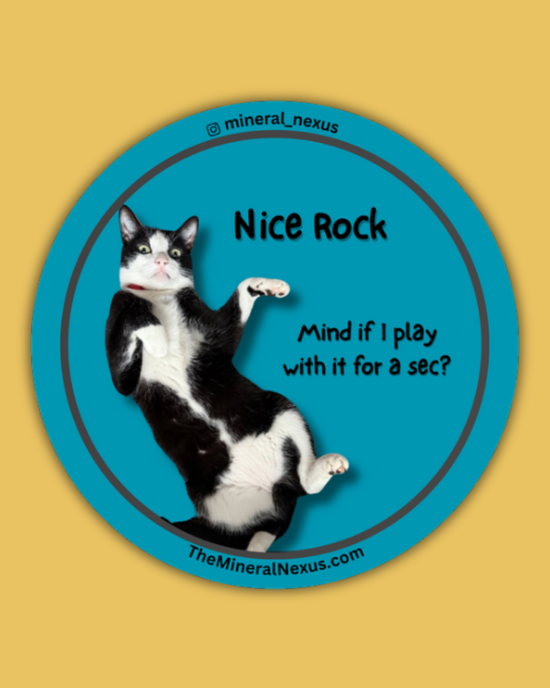 Diego "Nice Rock"