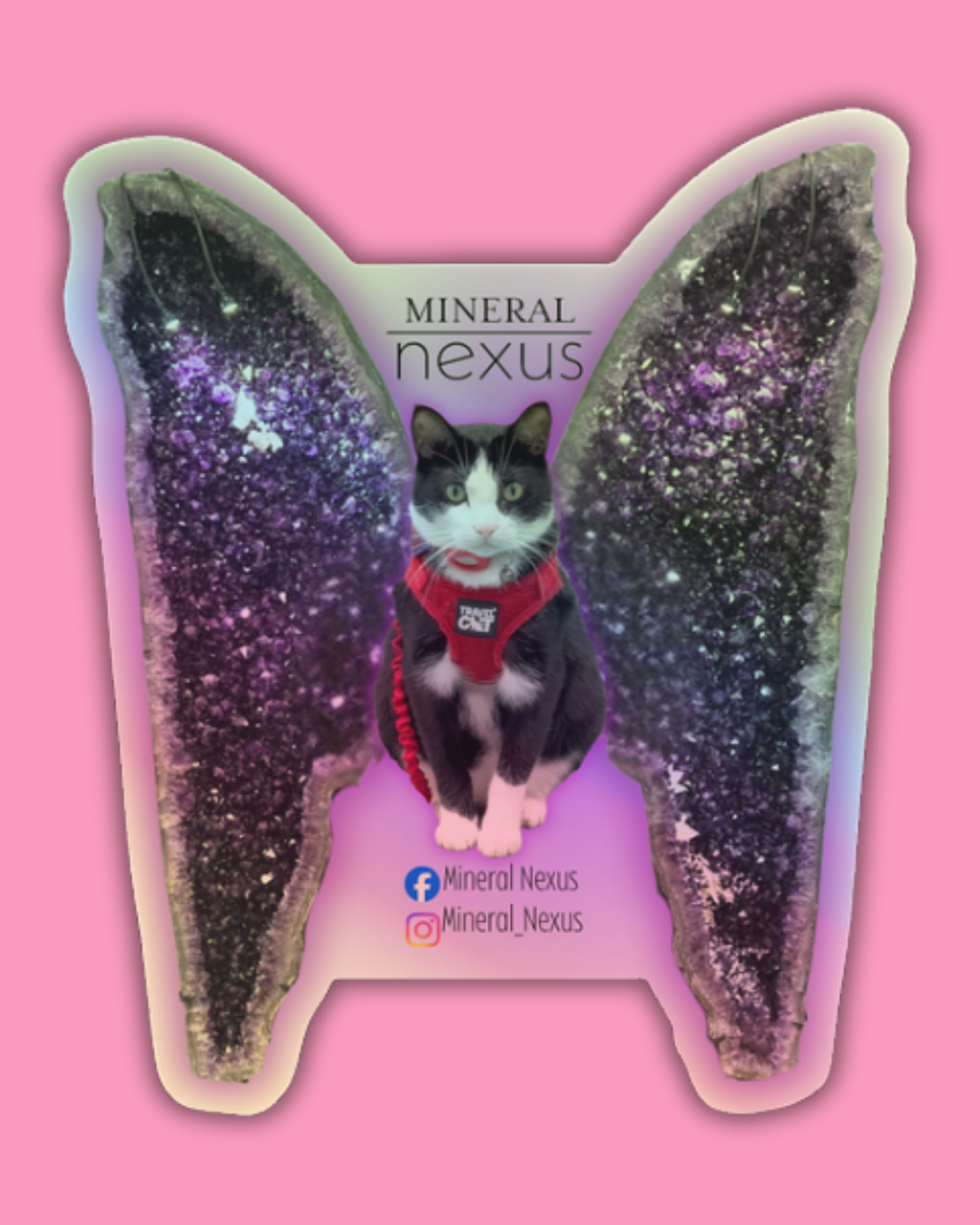 Holographic Diego Amethyst Angel
