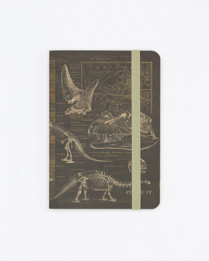 Dinosaur Bones Observation Pocket-Sized Softcover
