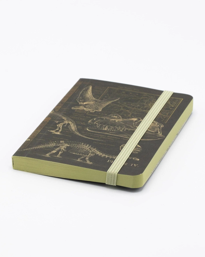 Dinosaur Bones Observation Pocket-Sized Softcover