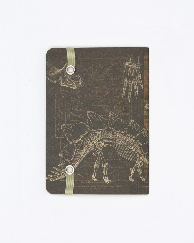 Dinosaur Bones Observation Pocket-Sized Softcover