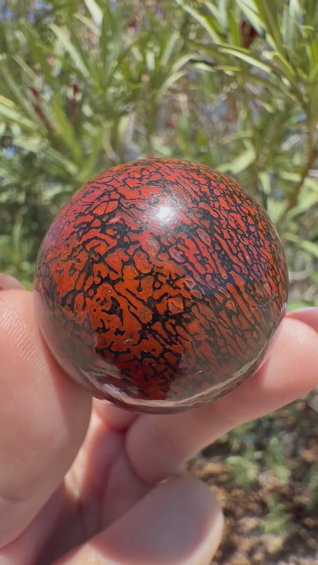 Dinosaur Gem Bone Sphere