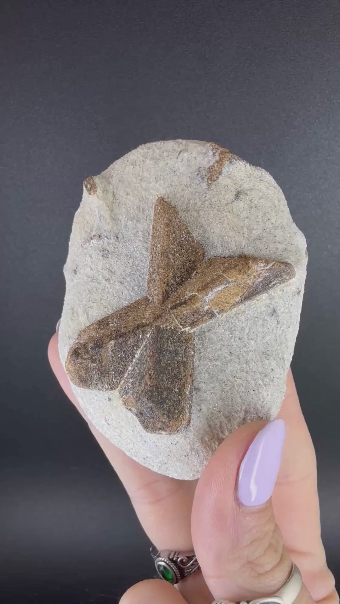 Staurolite "Fairy Cross"