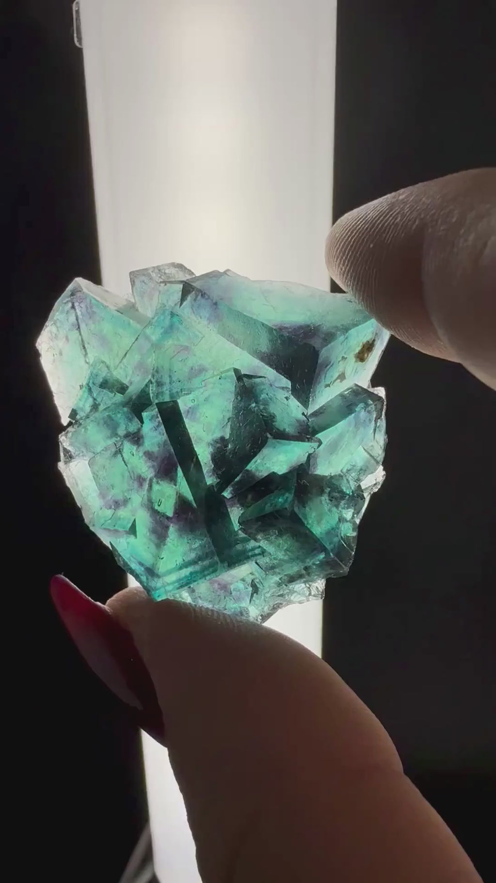 Fluorite "Butterfly Pocket"