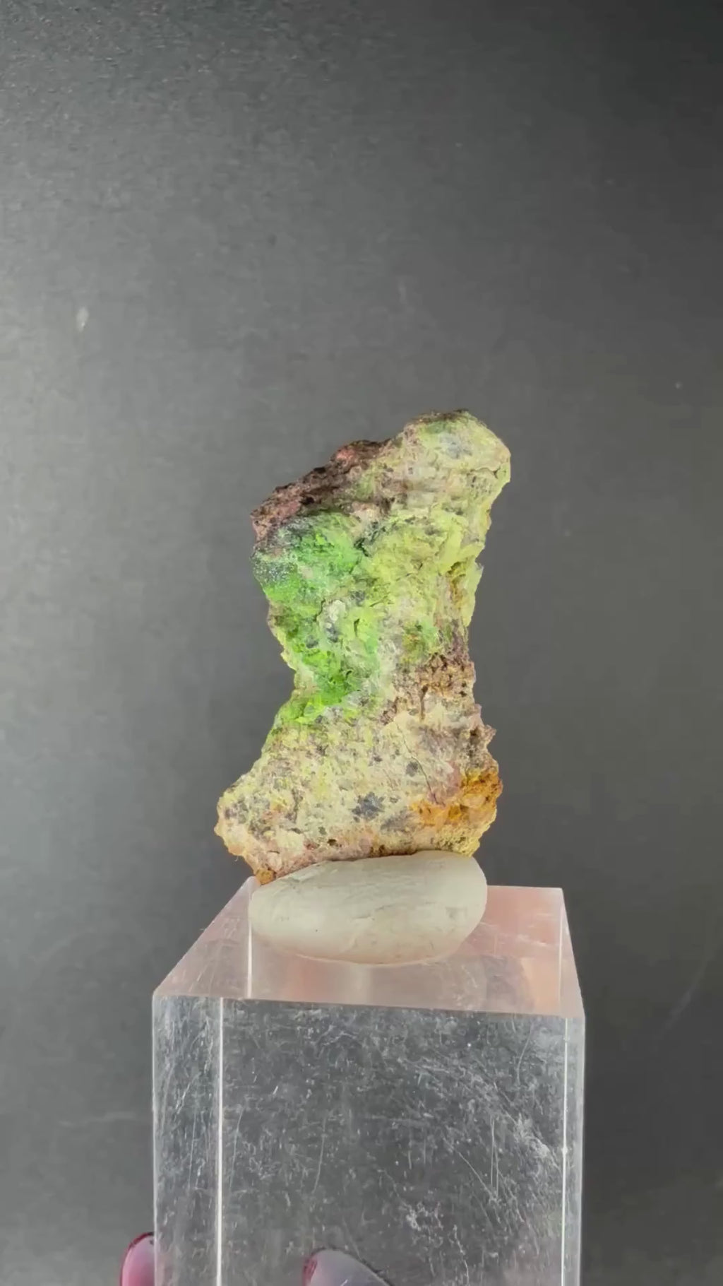 Dungganinte, Native Gold and Quetzalcoatlite