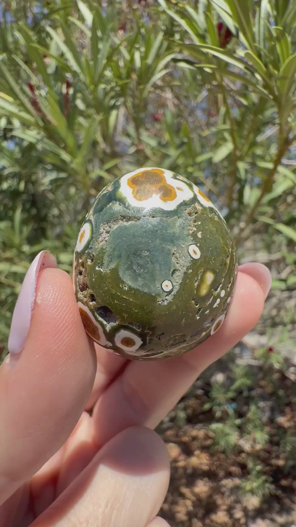 Obicular Jasper (aka "Ocean Jasper")