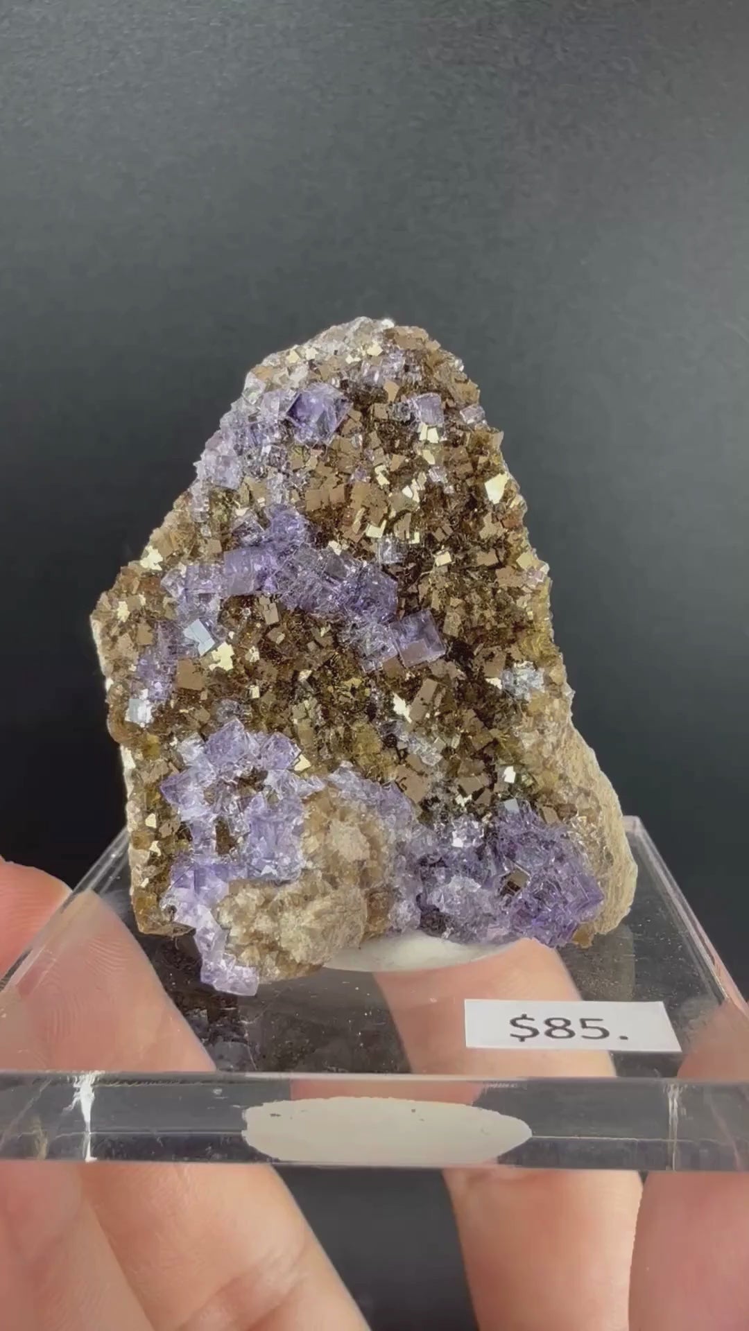 Pyrite with Fluorite
