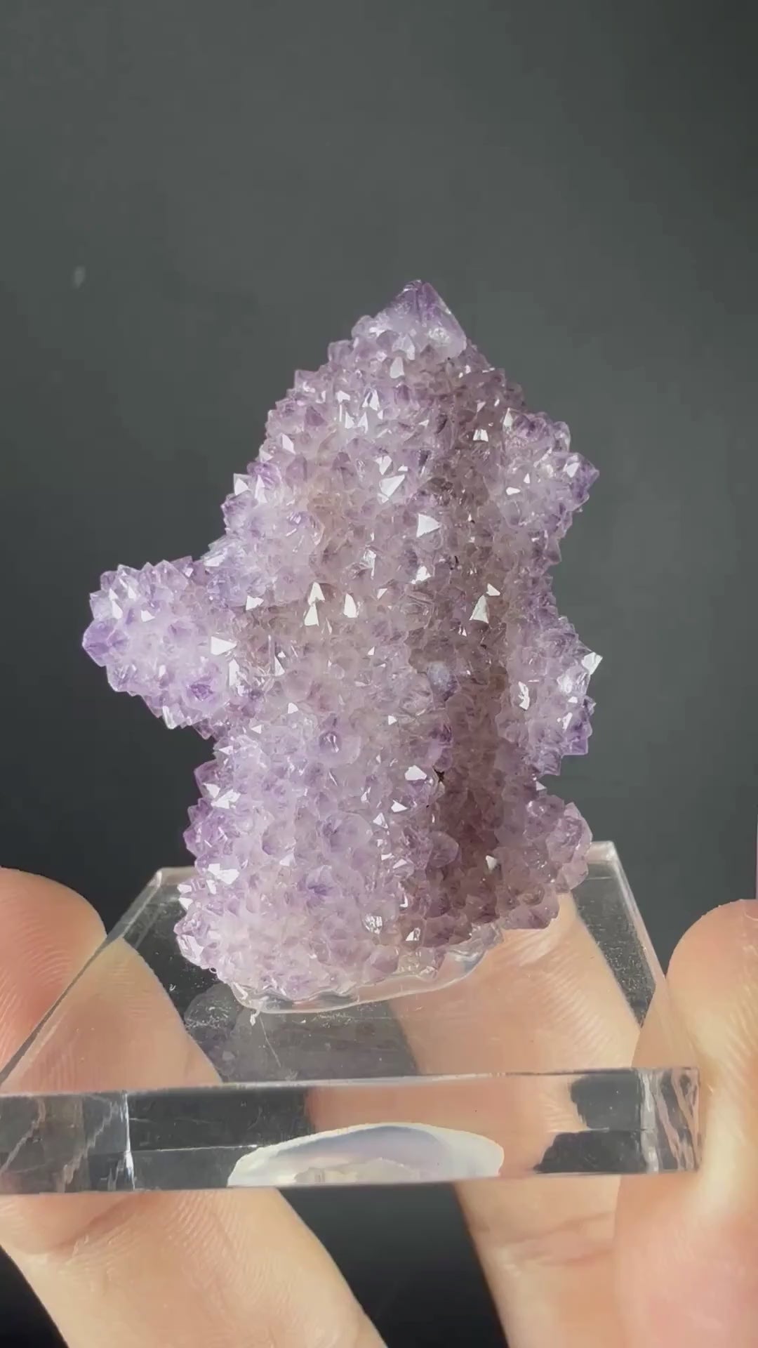 Amethyst "Cactus Quartz"