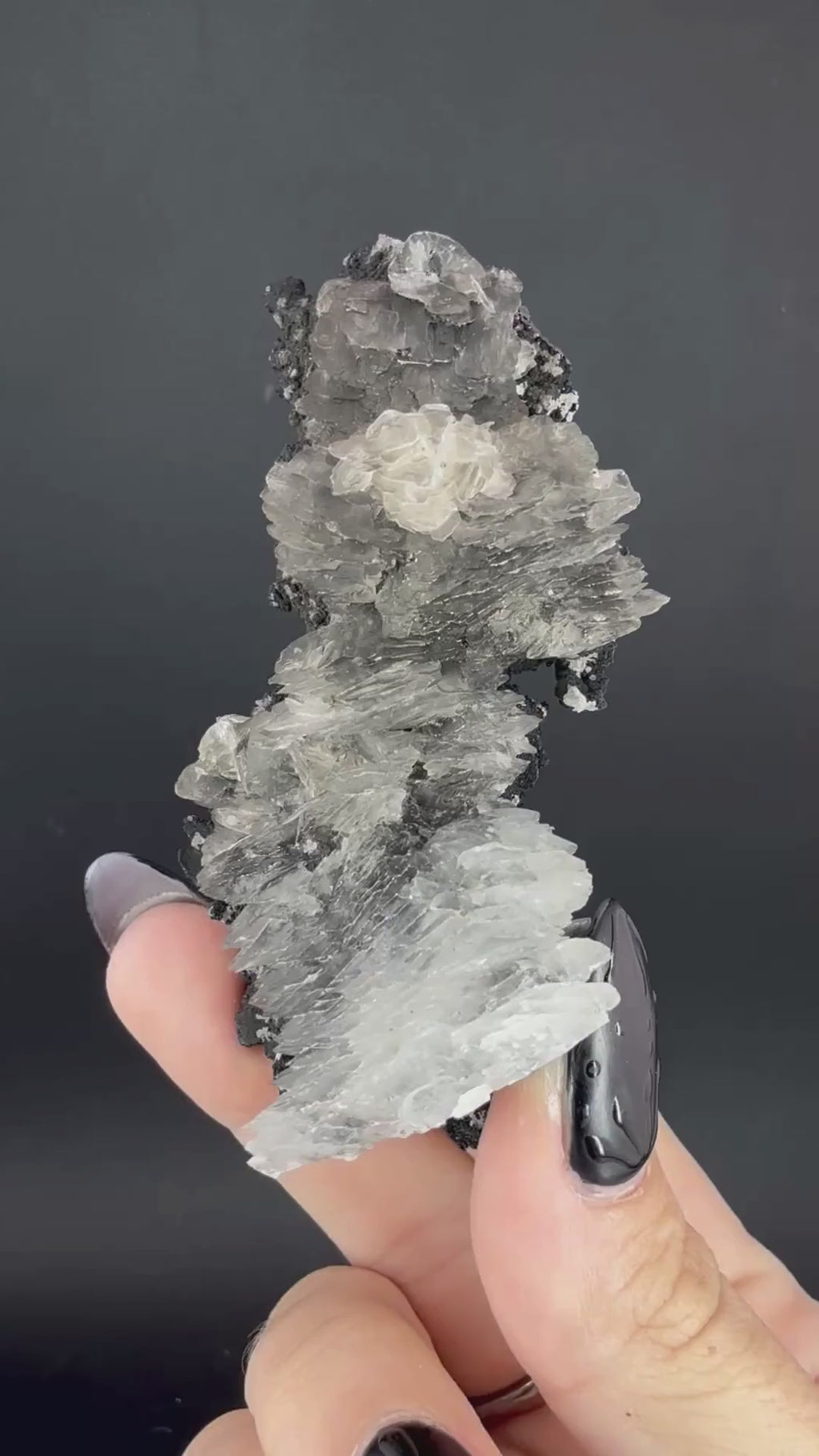 Selenite on Pyrolusite