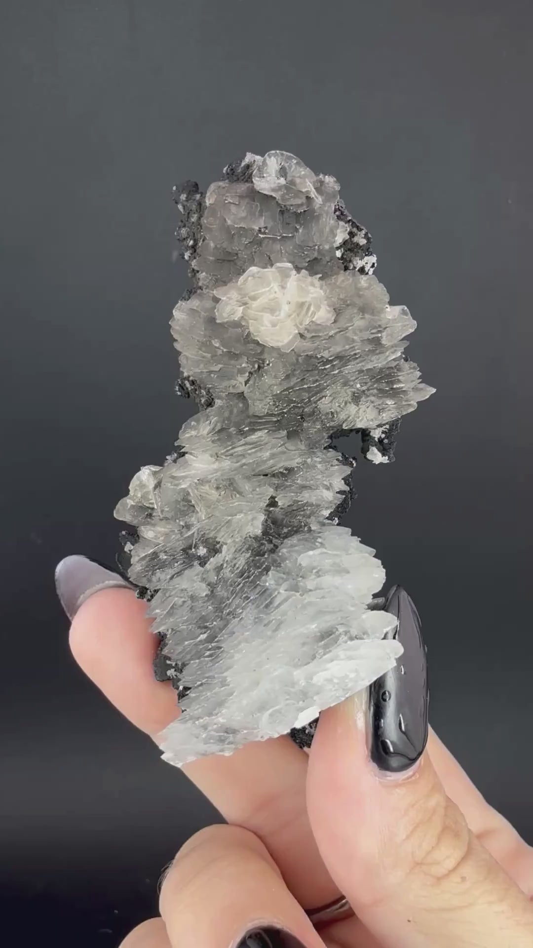 Selenite on Pyrolusite