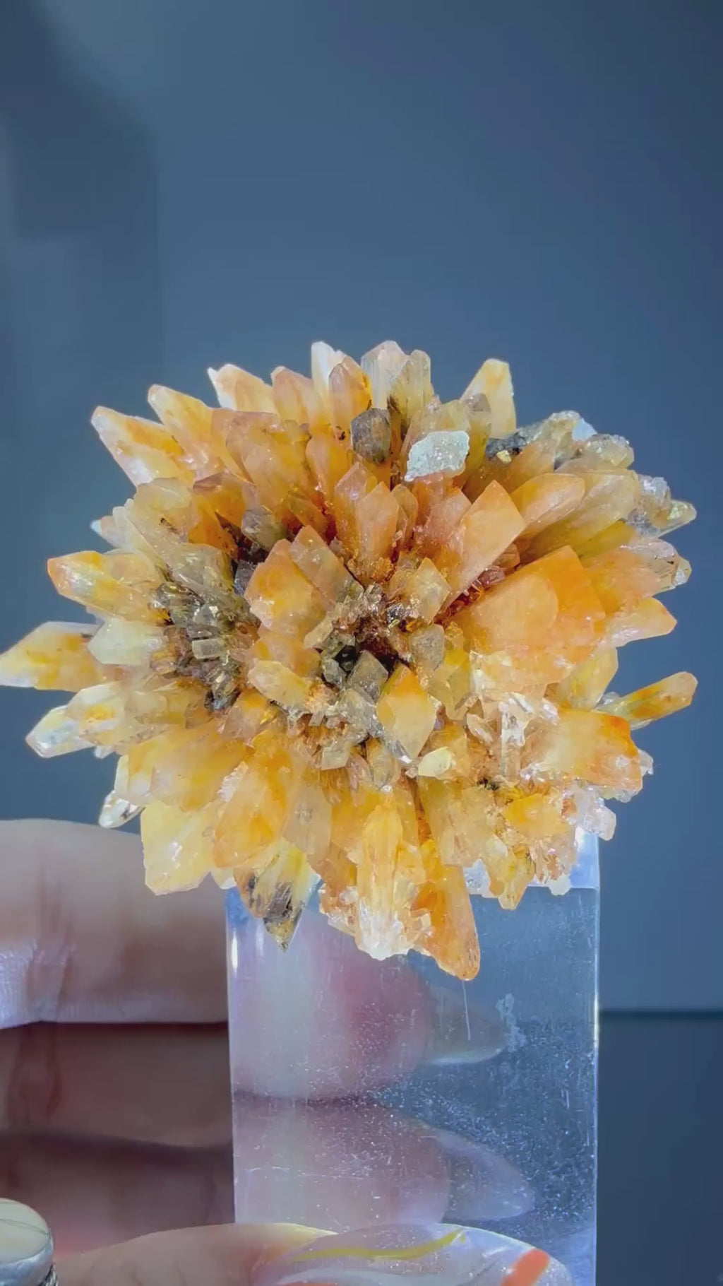 Creedite